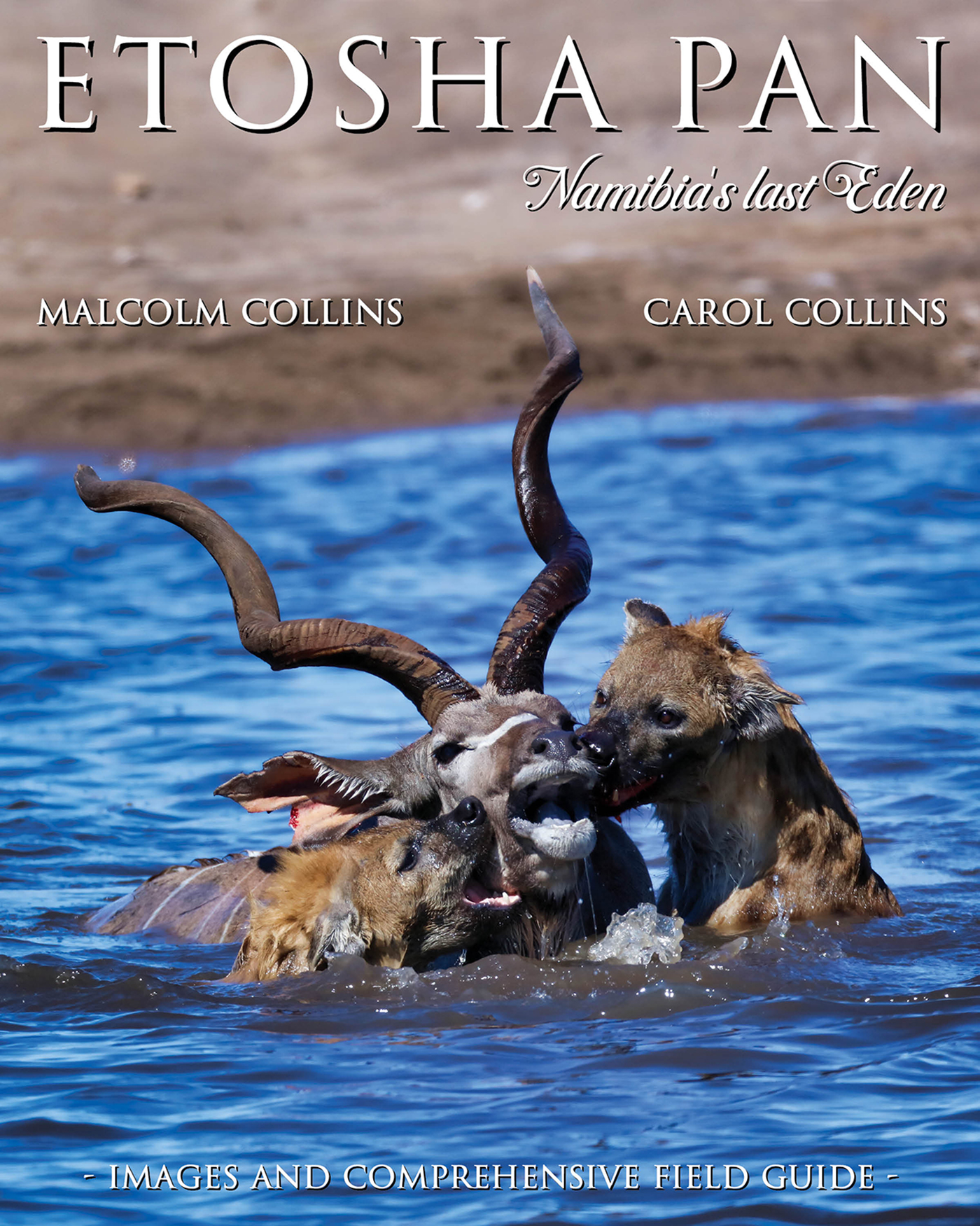 Cover image for Etosha Pan