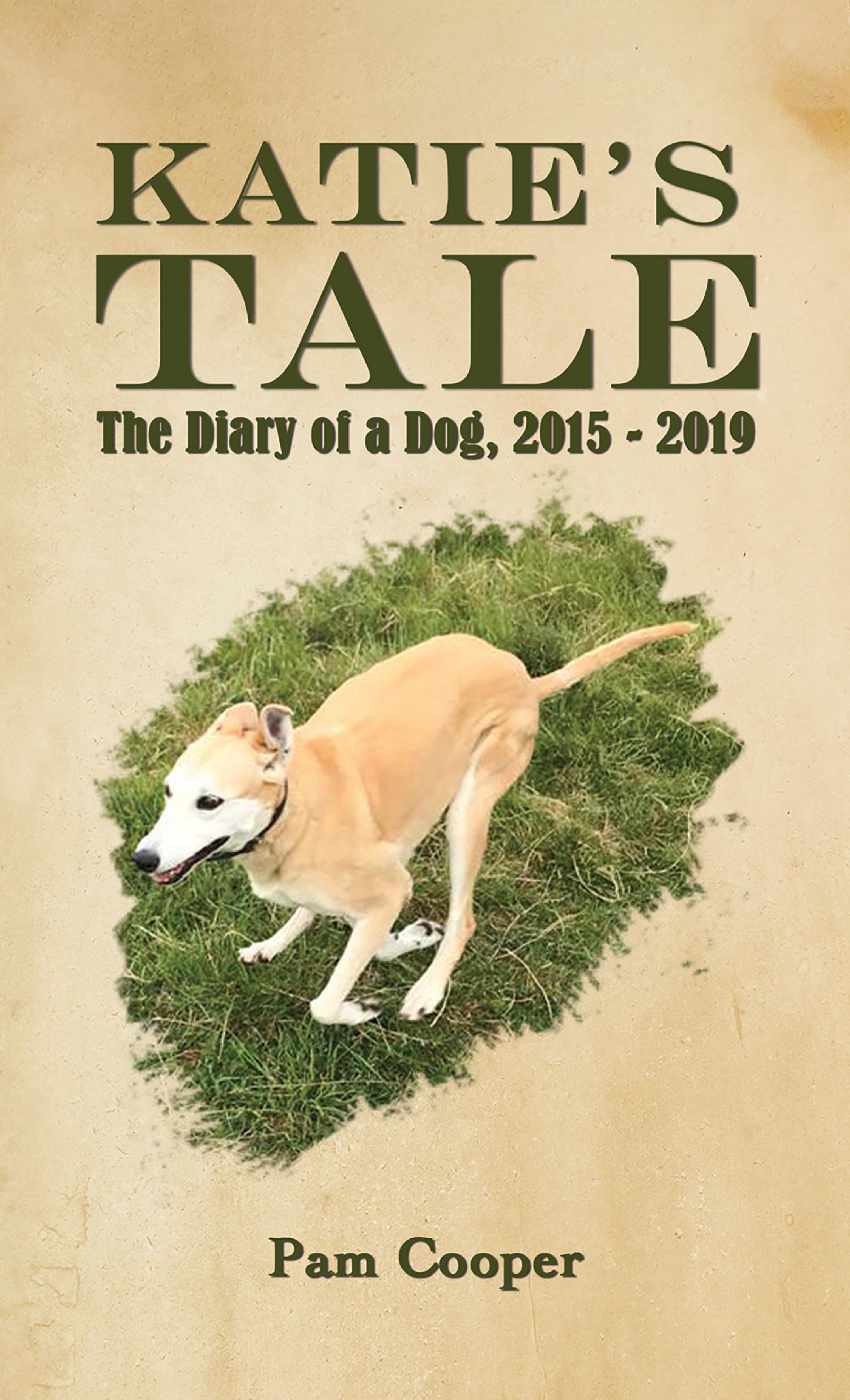 Cover image for Katies Tale