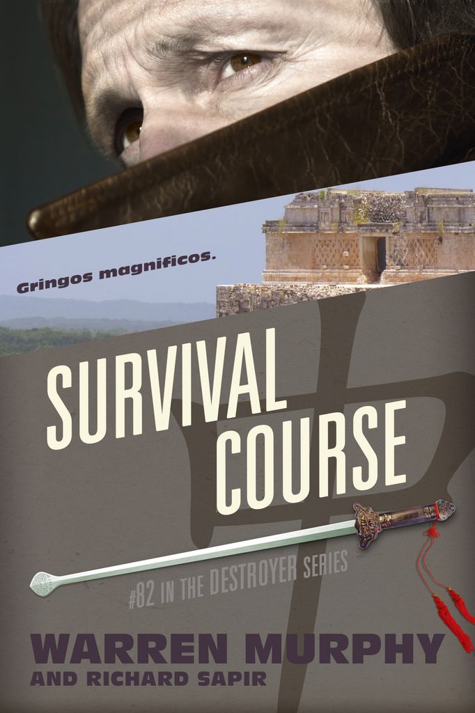 Cover image for Survival Course