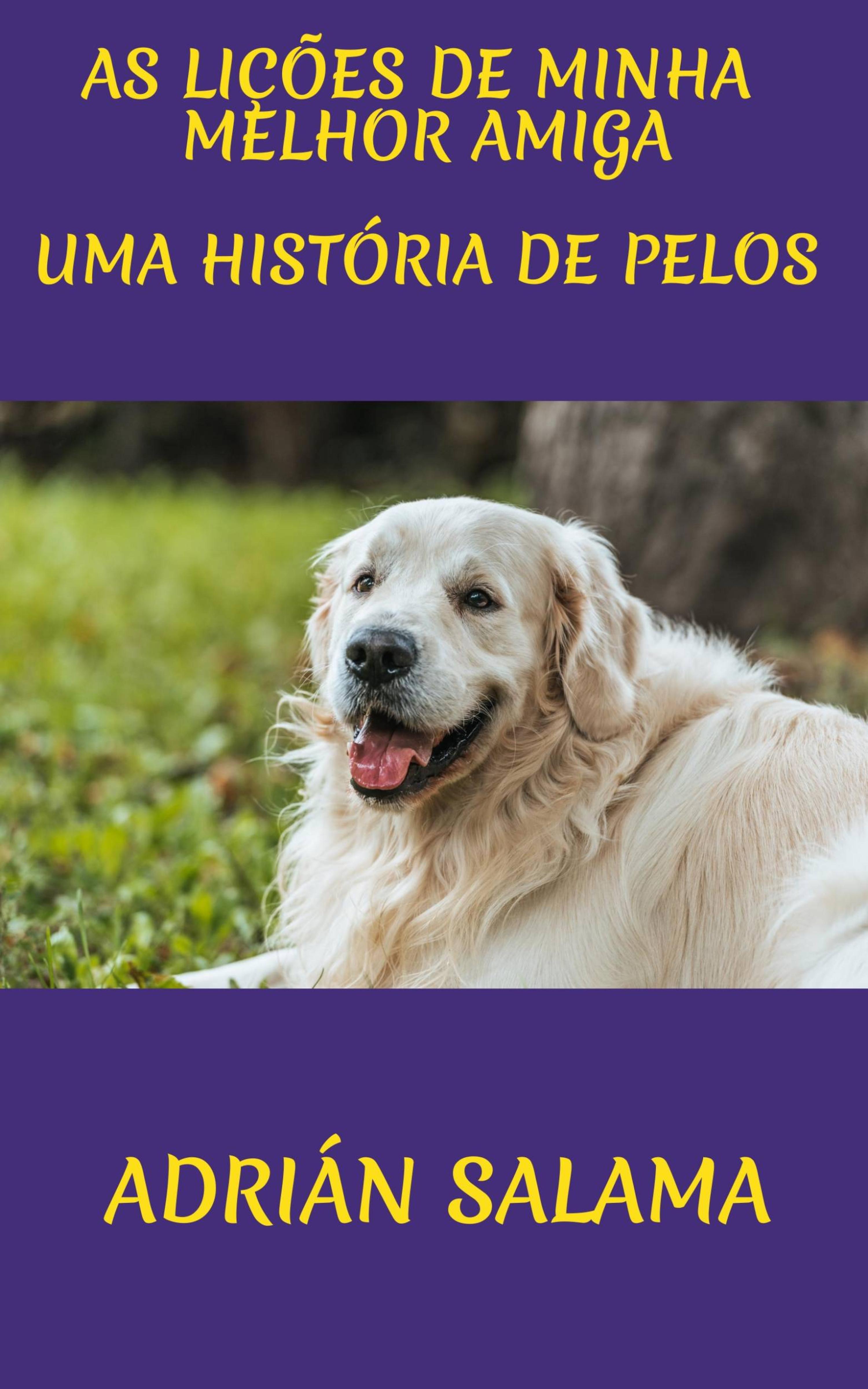 Cover image for As licoes de minha melhor amiga