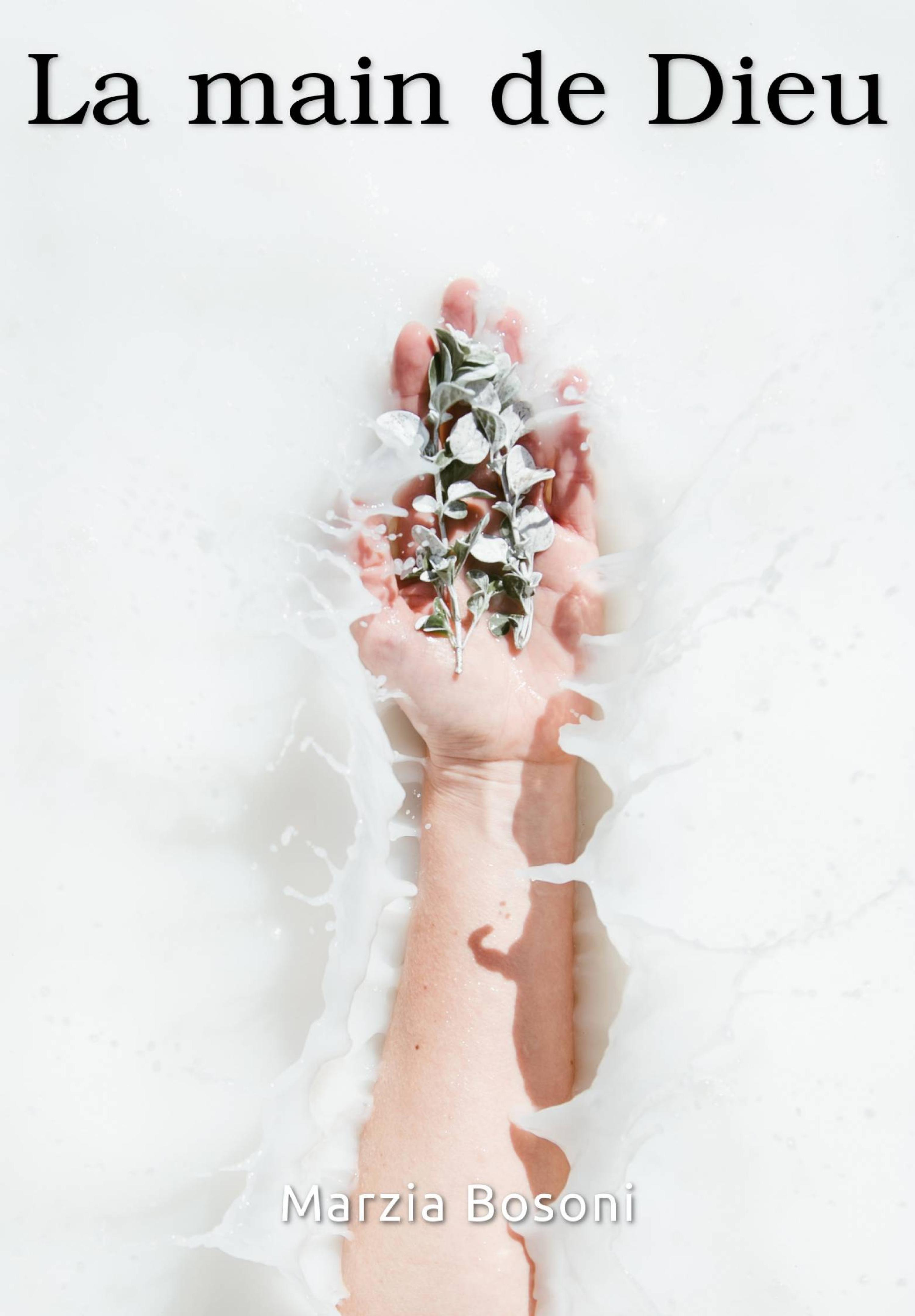 Cover image for La main de Dieu