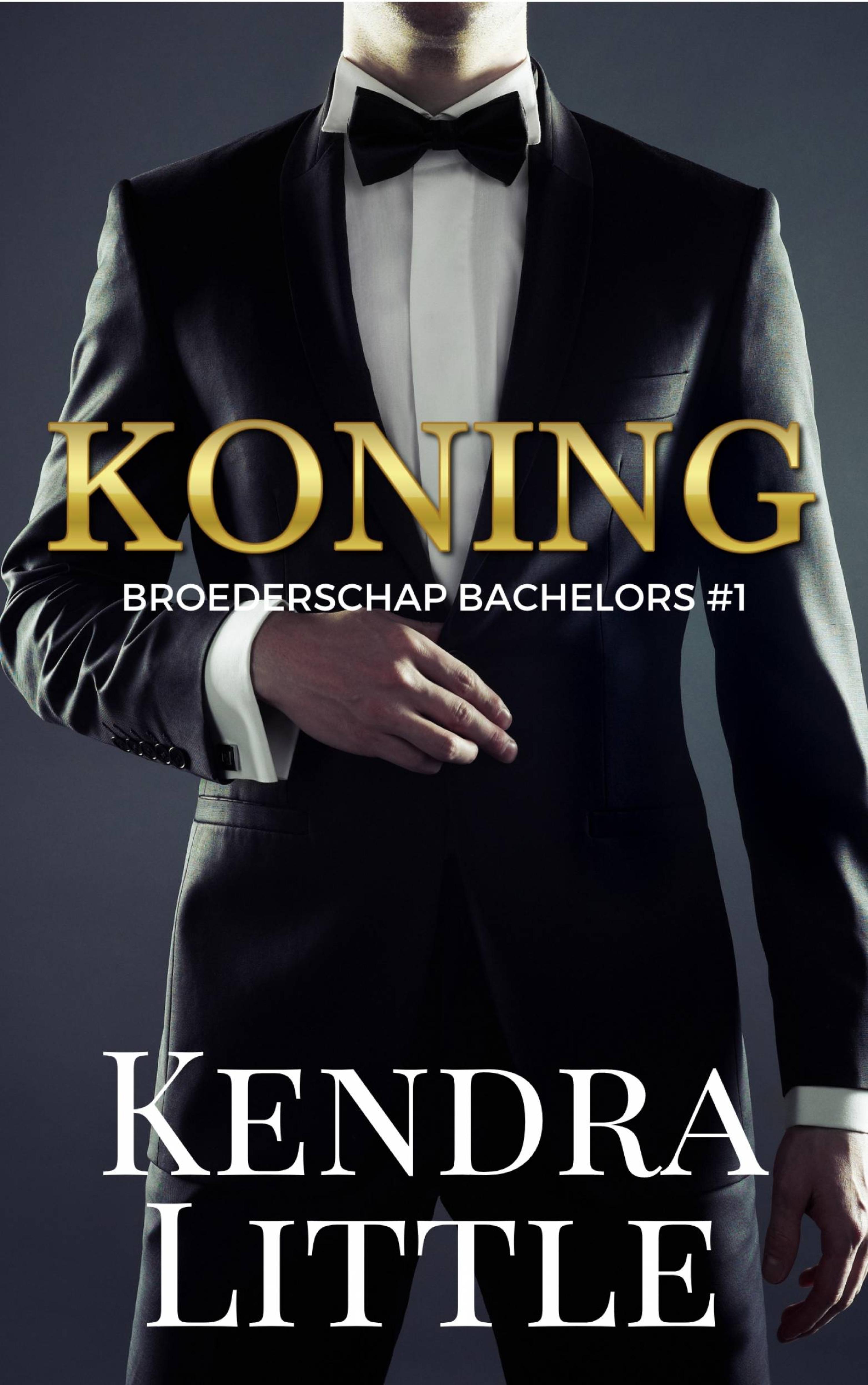 Cover image for Koning