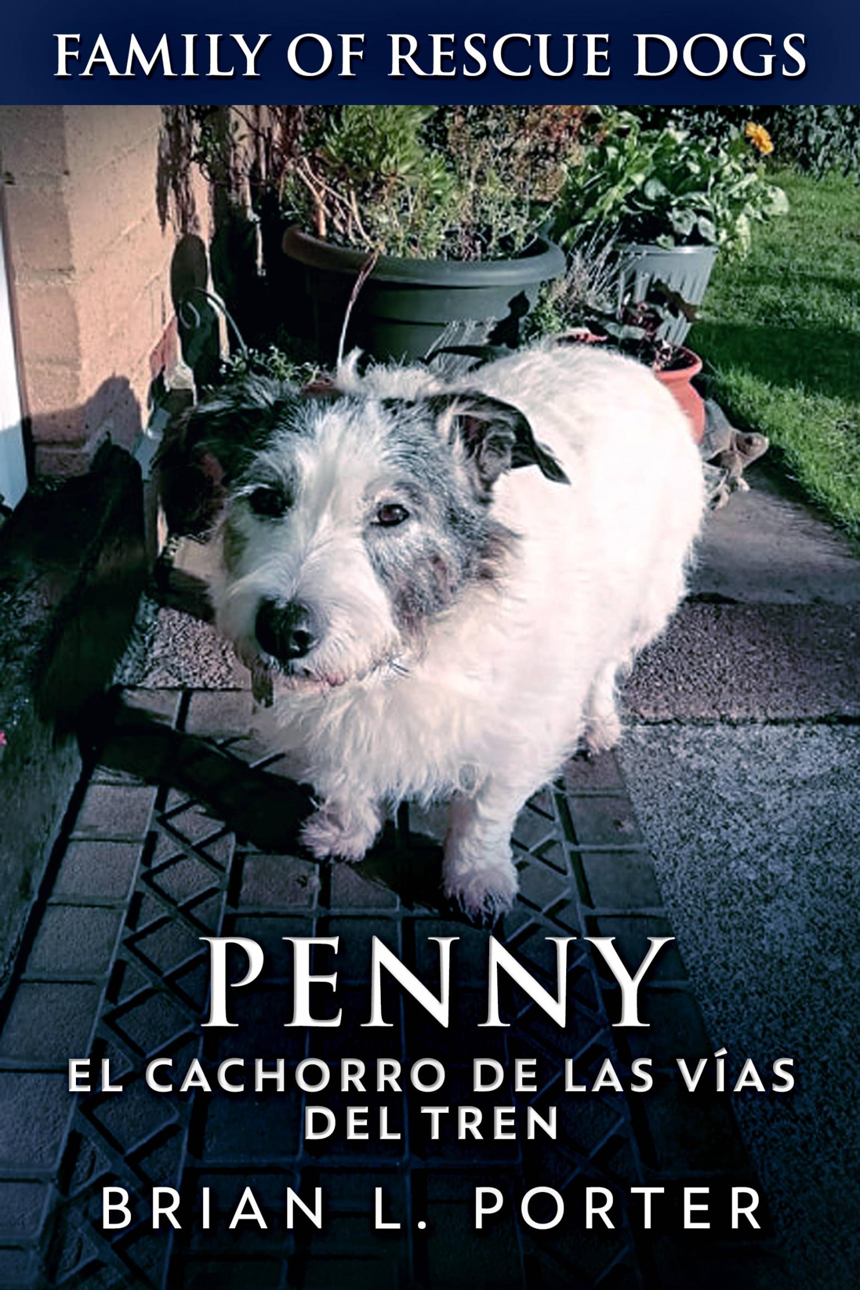 Cover image for Penny, el cachorro de las vias del tren