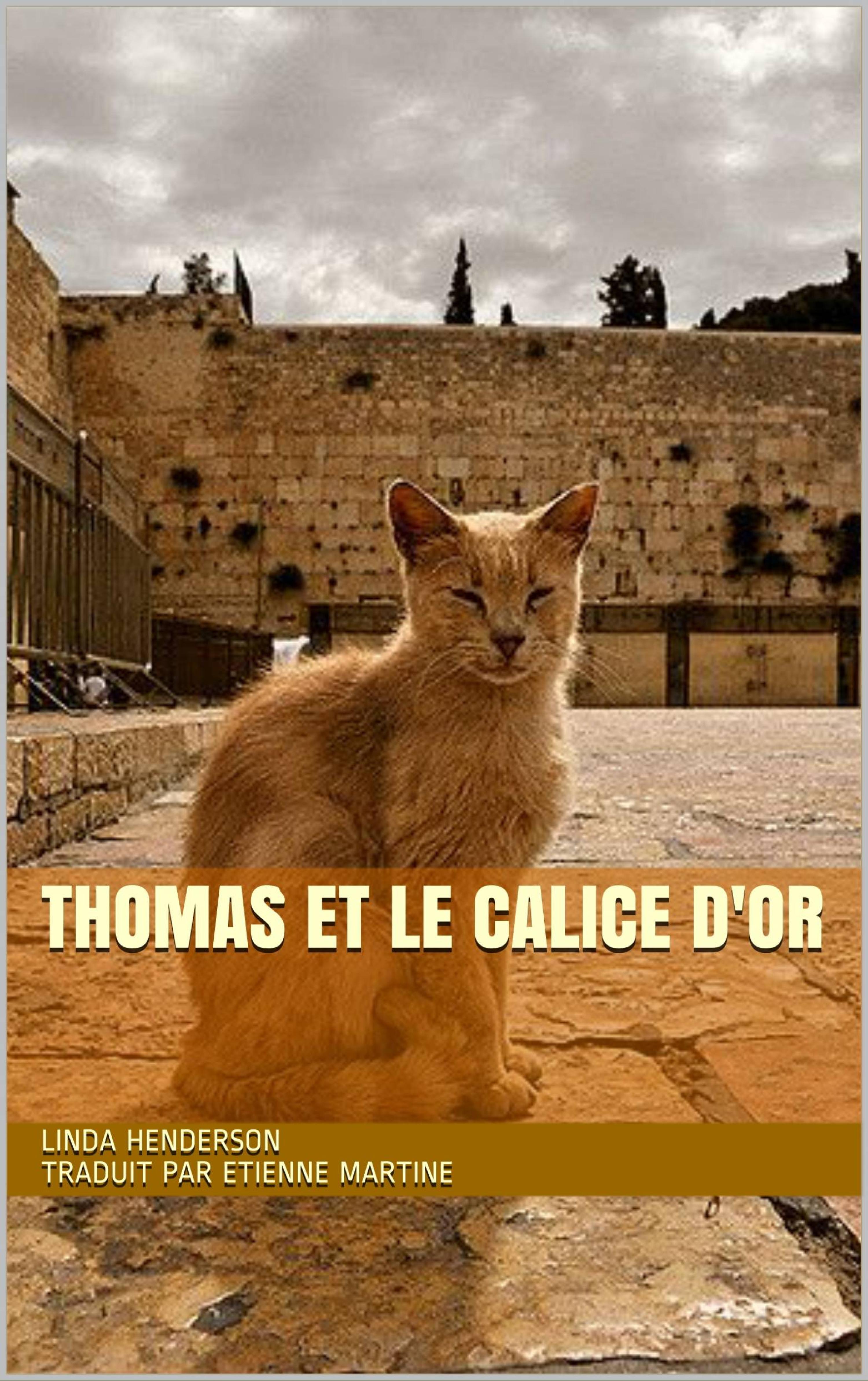 Cover image for Thomas et le calice d'or