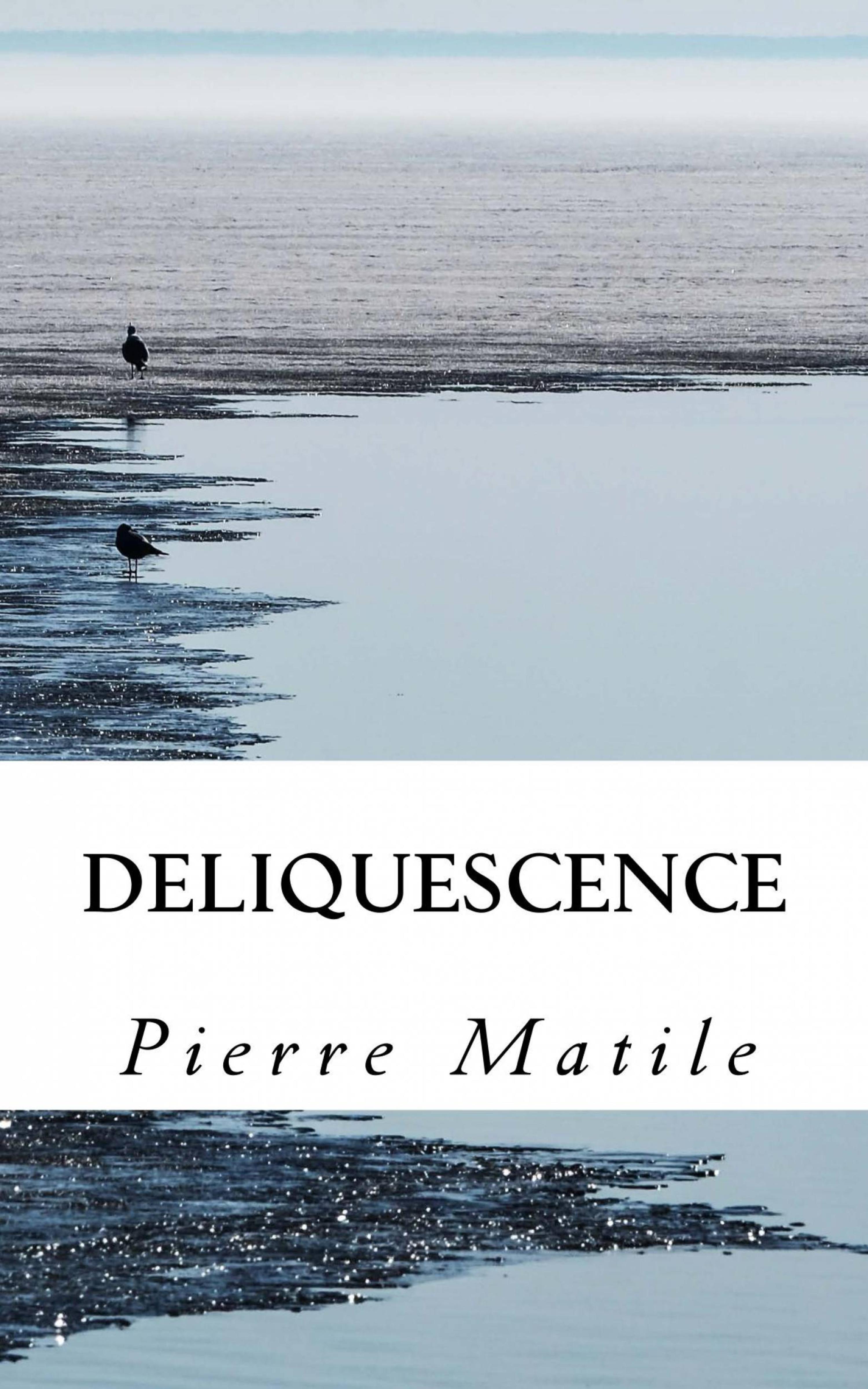 Cover image for Deliquescence