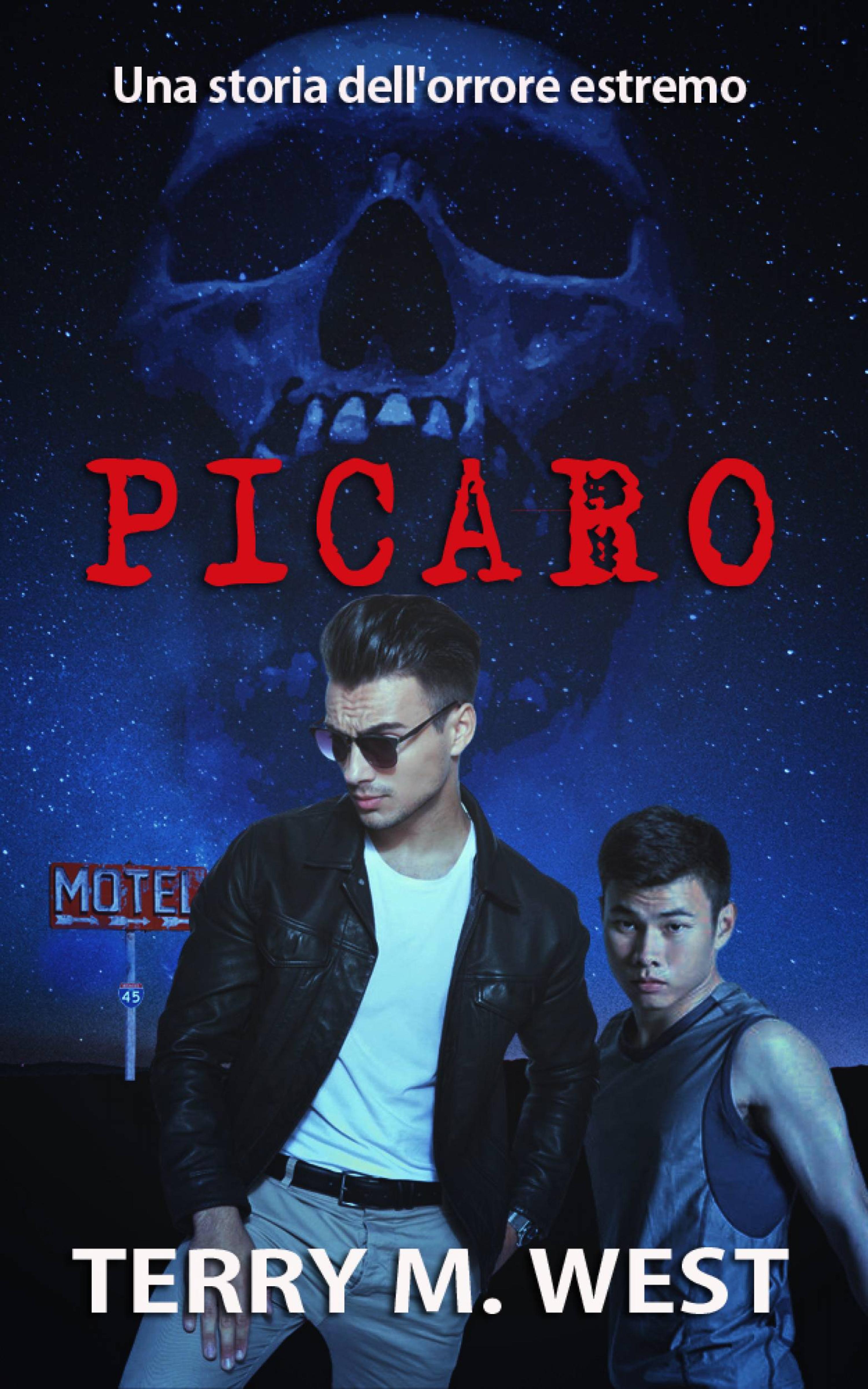Cover image for Picaro