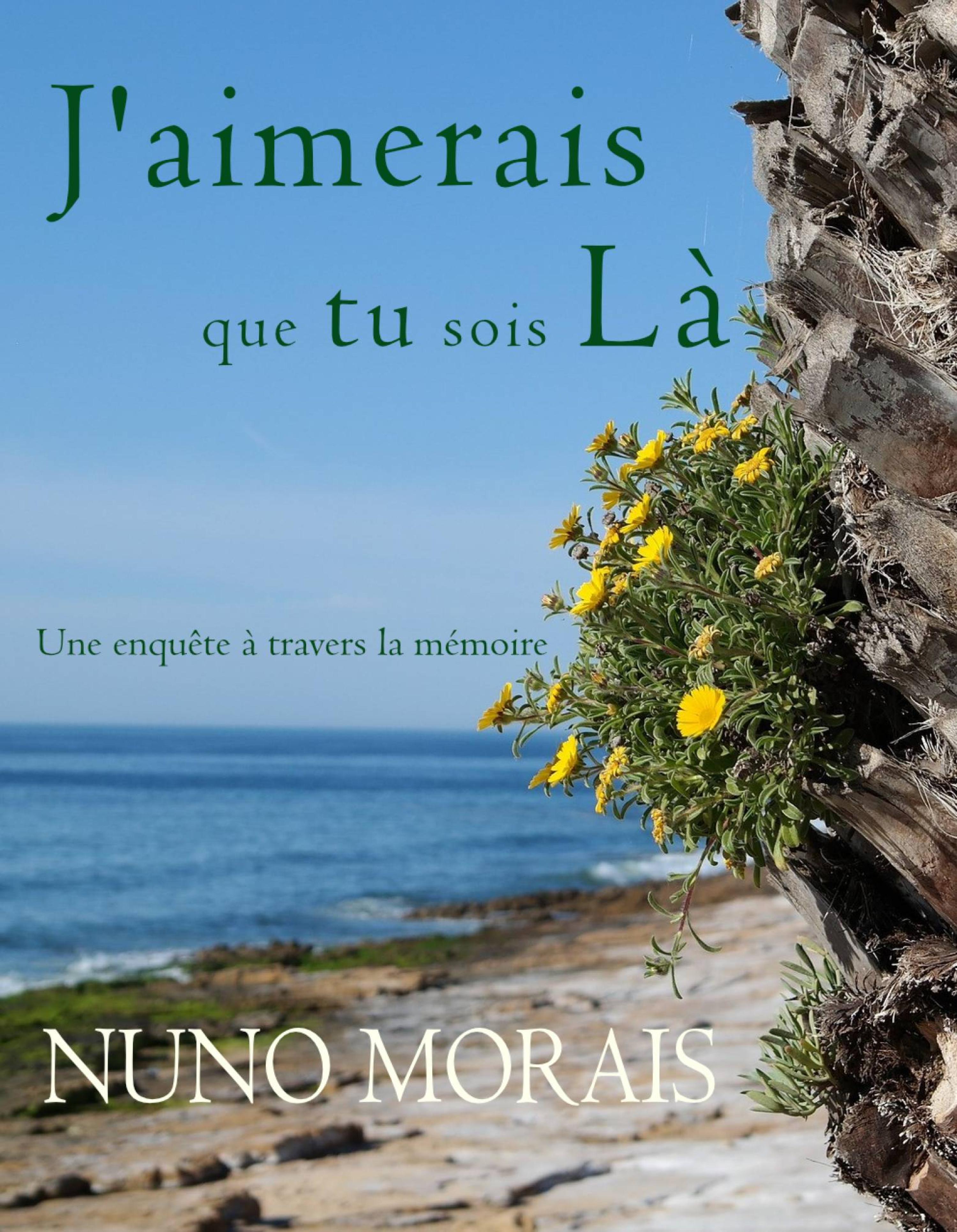 Cover image for J'aimerais que tu sois la