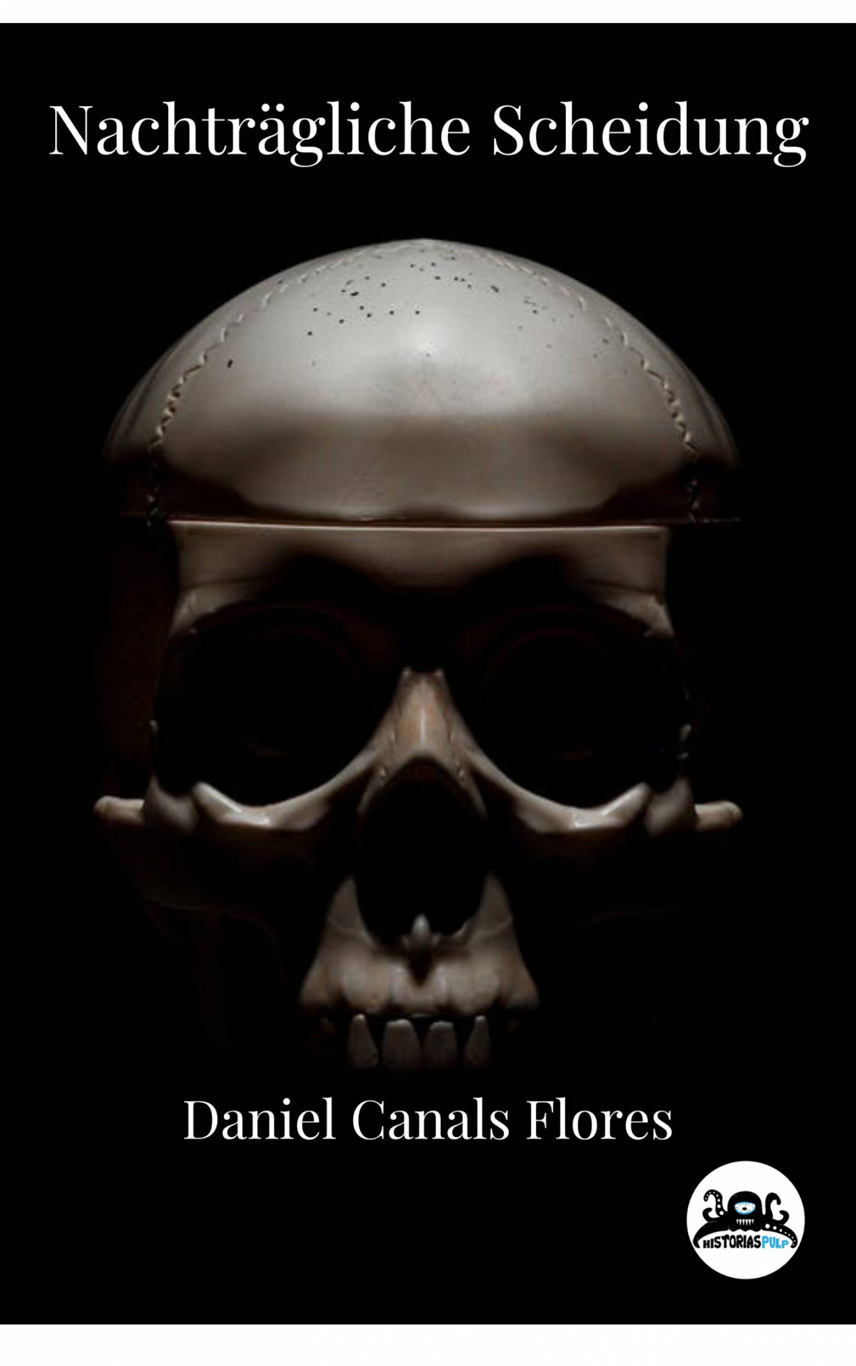 Cover image for Nachtragliche Scheidung