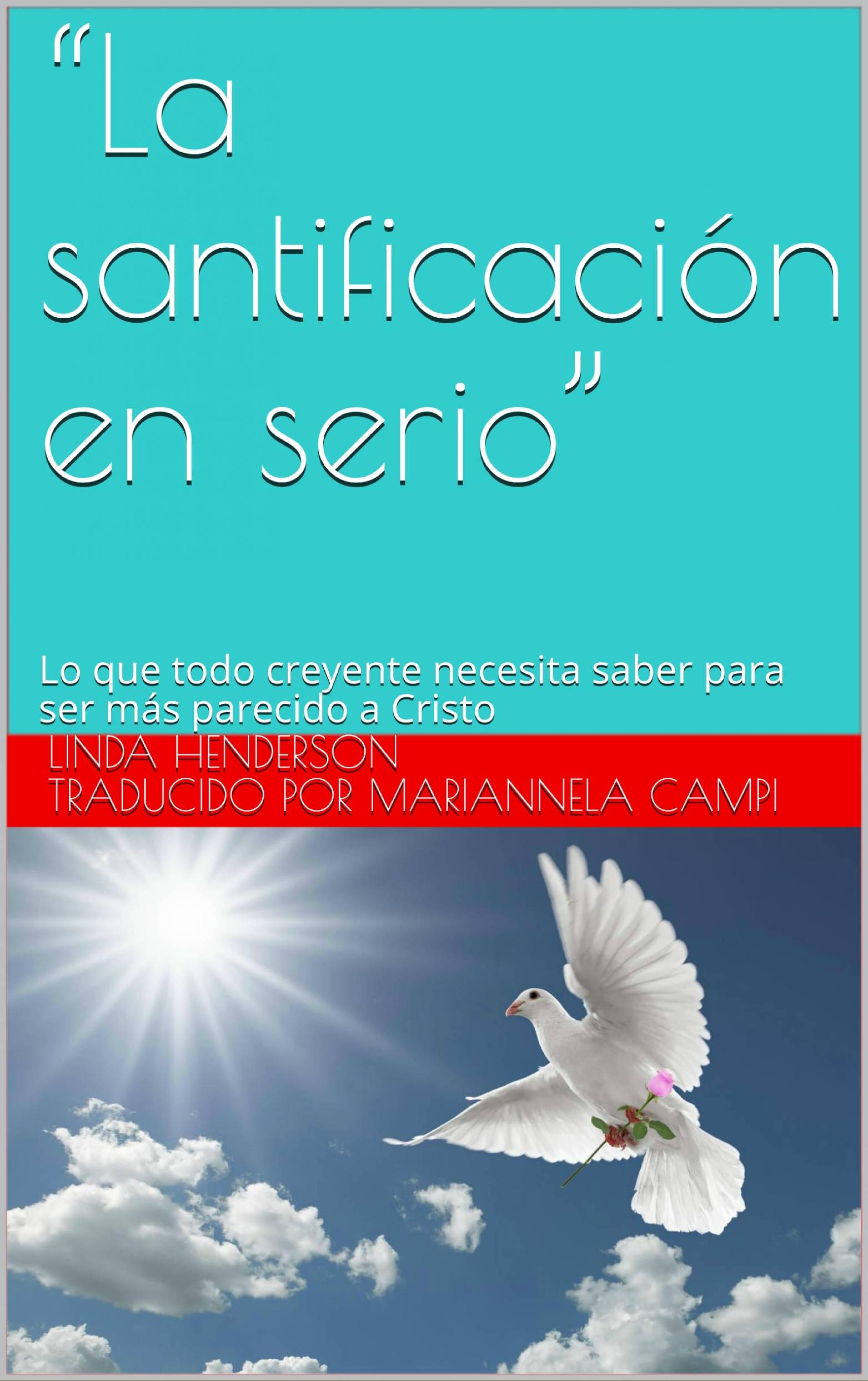 Cover image for La Santificacion en serio