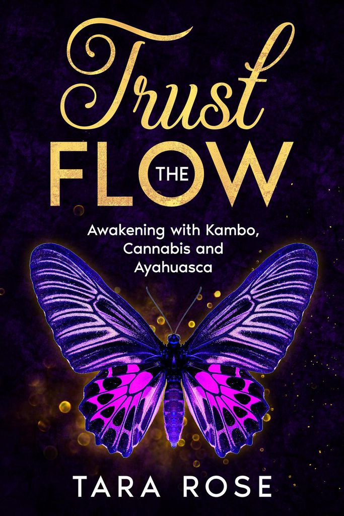 Cover image for Trust the Flow