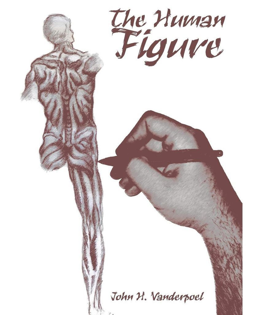 Cover image for The Human Figure