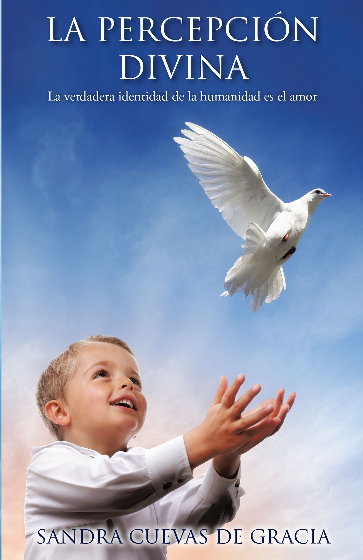 Cover image for La percepcion Divina