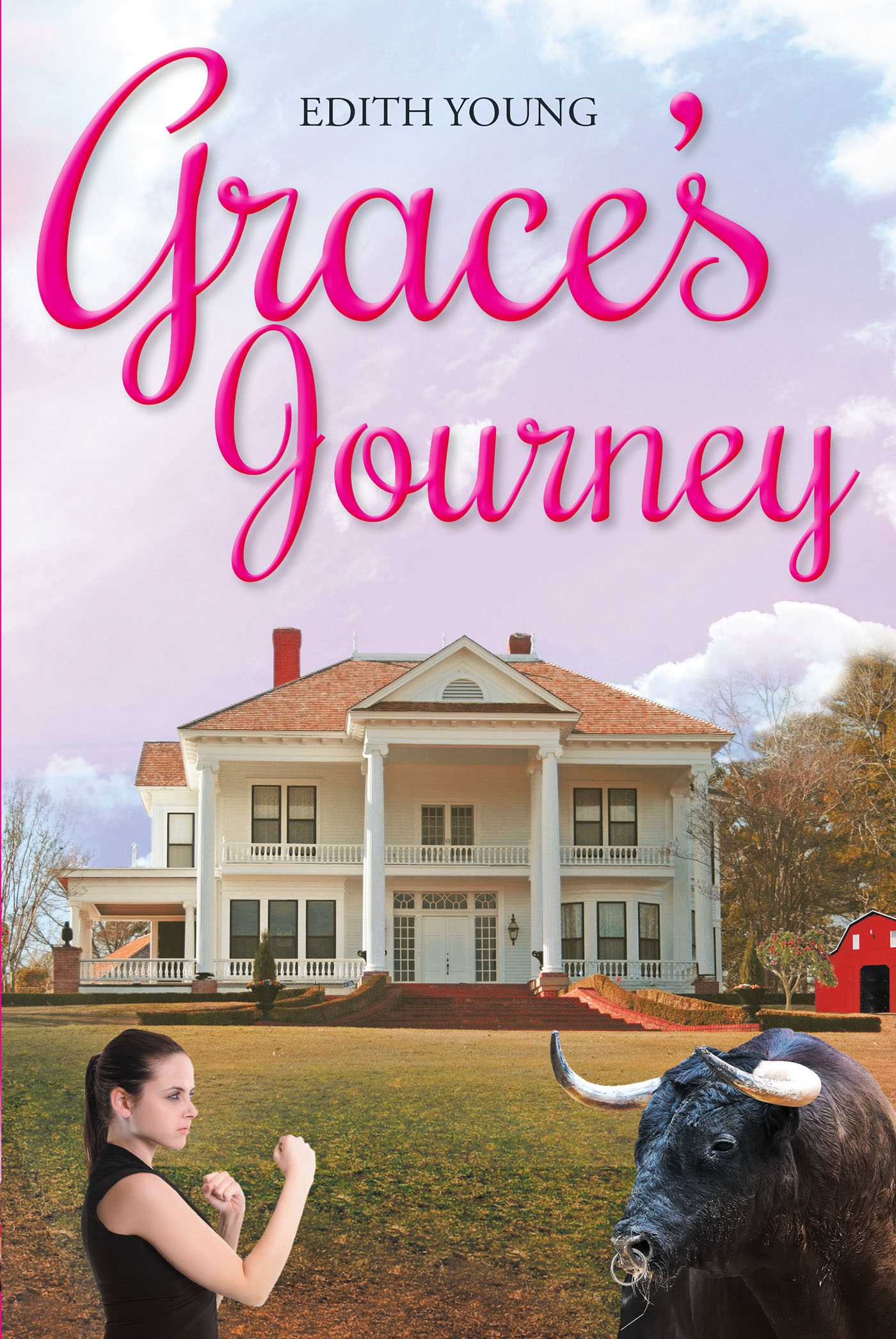 Cover image for Grace's Journey