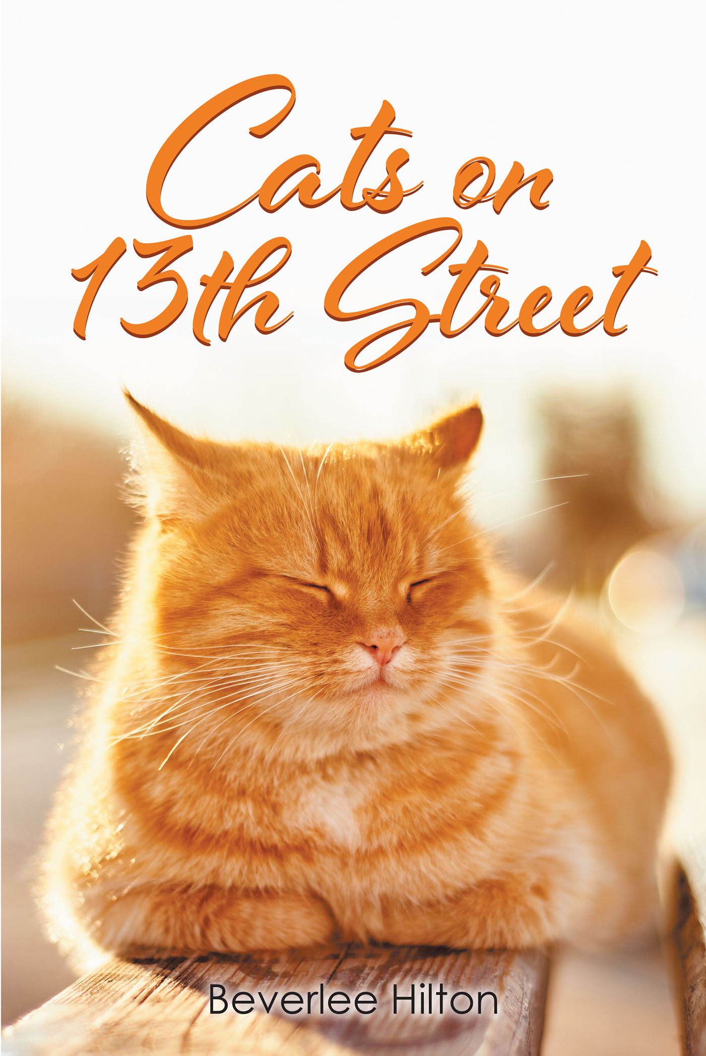 洋書  CATS life 洋書 CATS life 洋書 CATS life It's a Cat's Life: Anitra