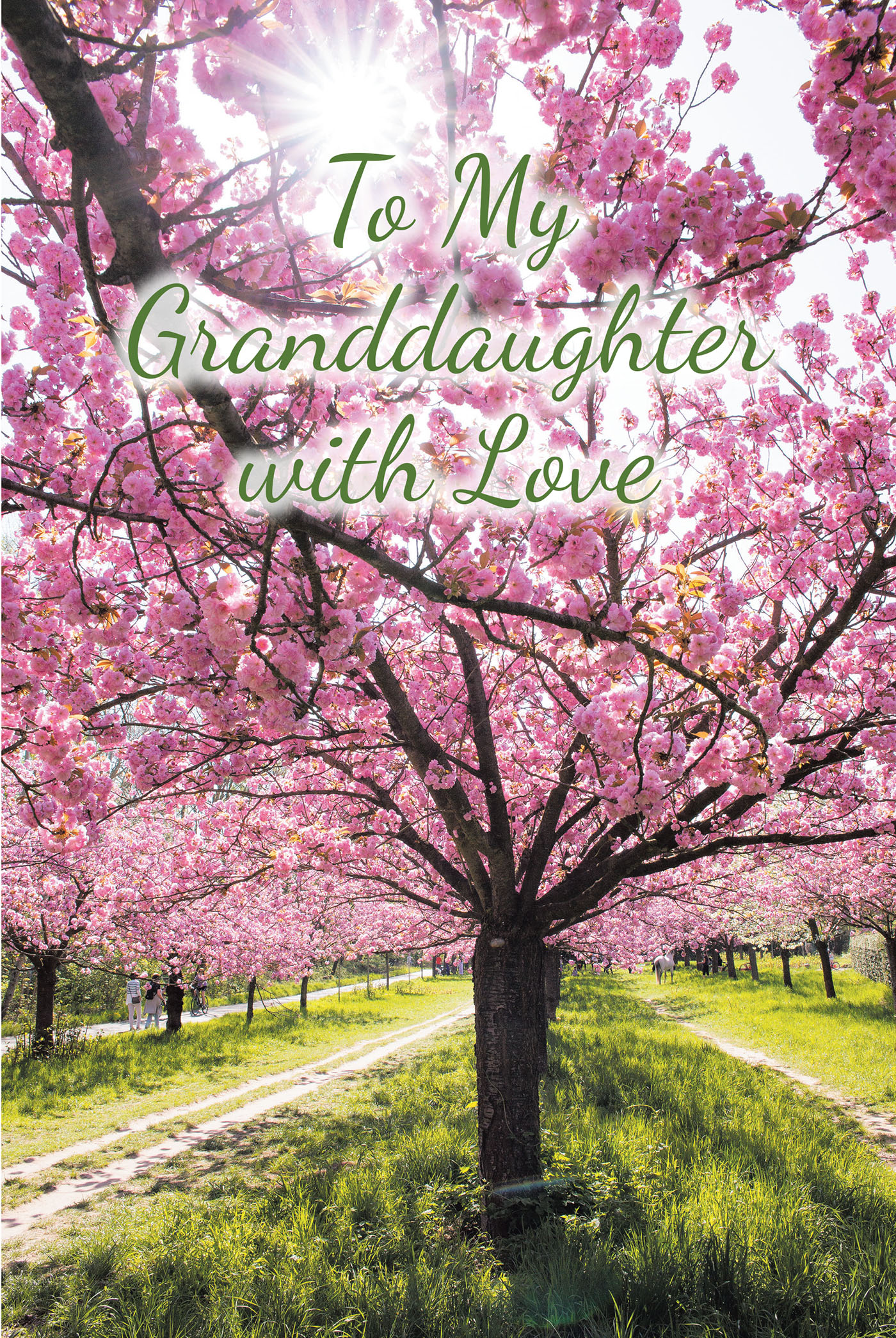 Cover image for To My Granddaughter with Love