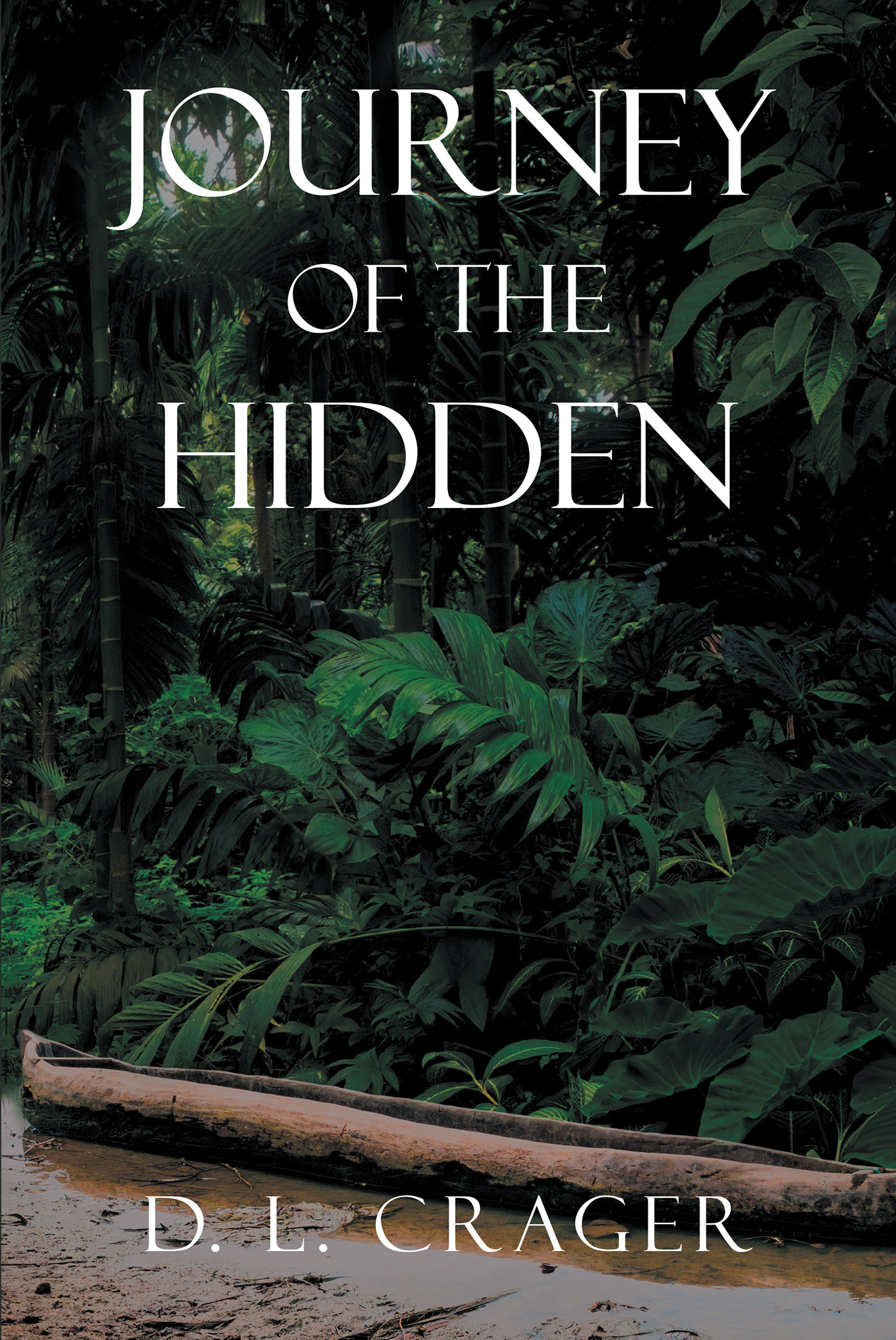 Cover image for Journey of the Hidden