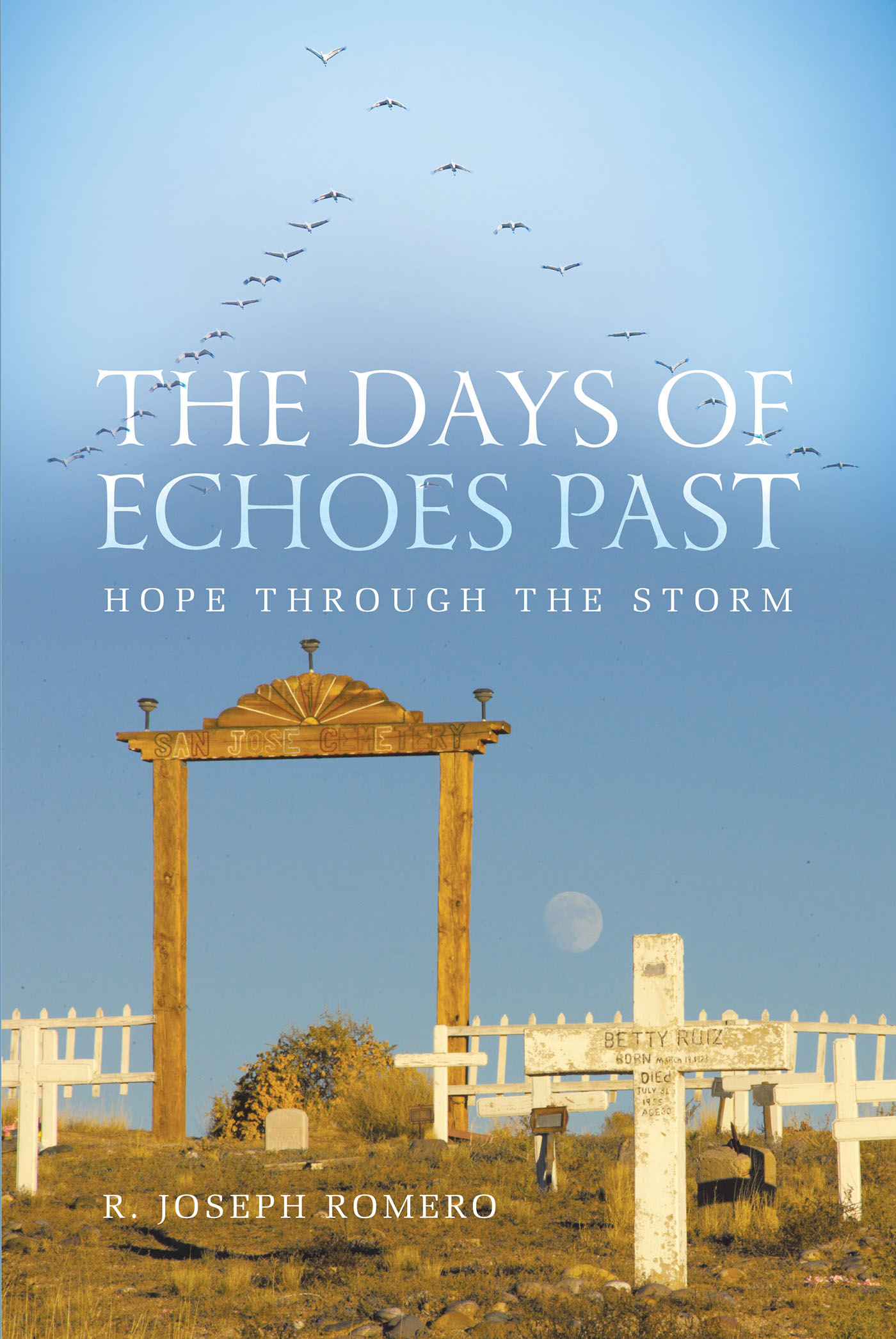 Cover image for The Days of Echoes Past