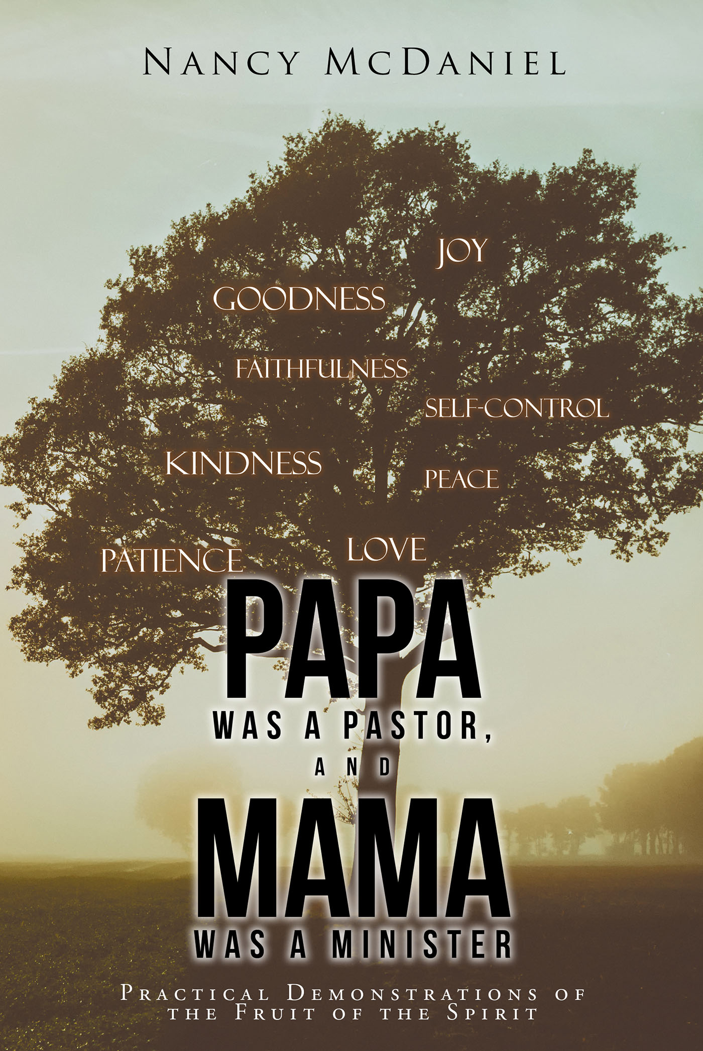 Cover image for Papa Was a Pastor, and Mama Was a Minister