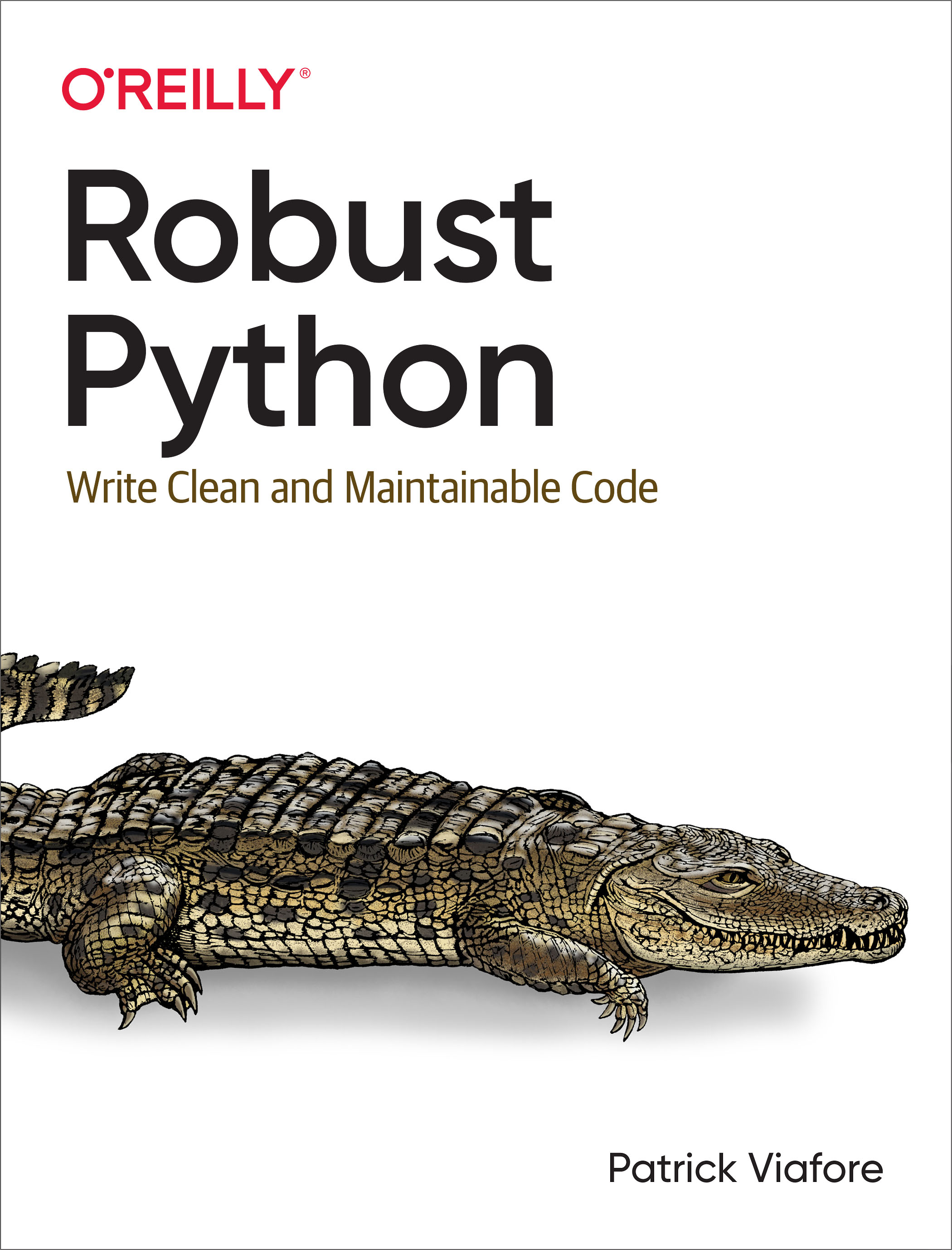 Cover image for Robust Python