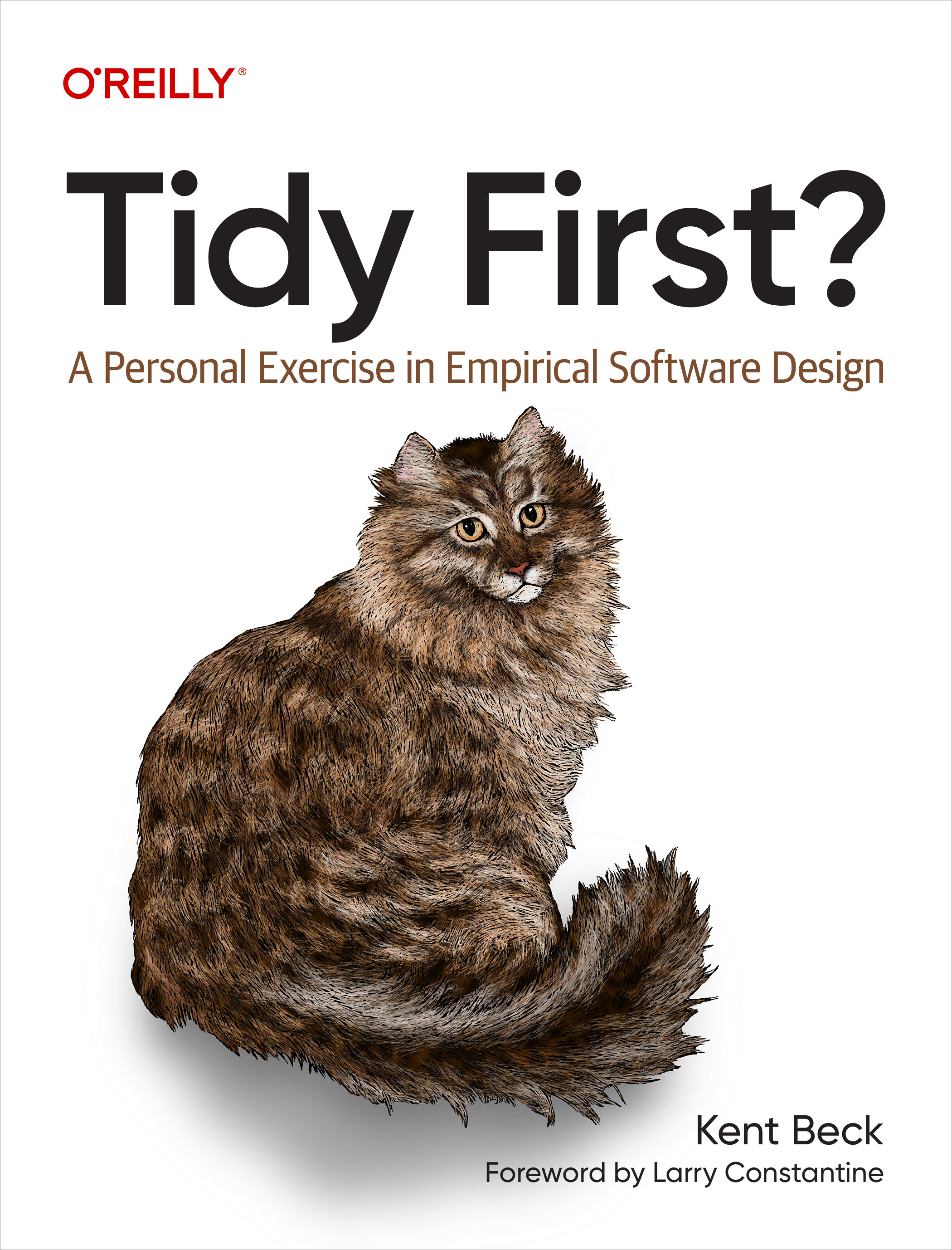 Cover image for Tidy First?