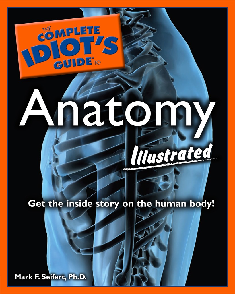 Cover image for The Complete Idiot's Guide to Anatomy, Illustrated