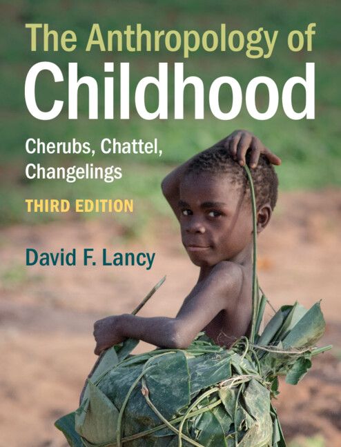 Cover image for The Anthropology of Childhood