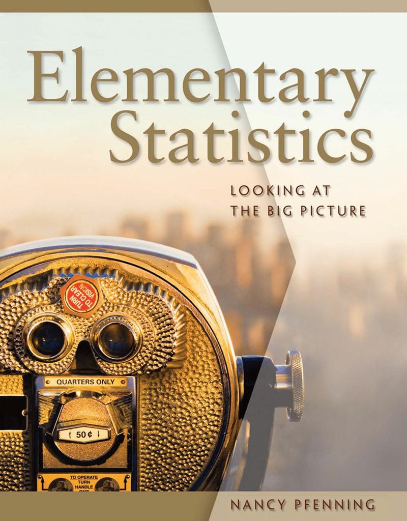 Elementary Statistics: Looking at the Big Picture