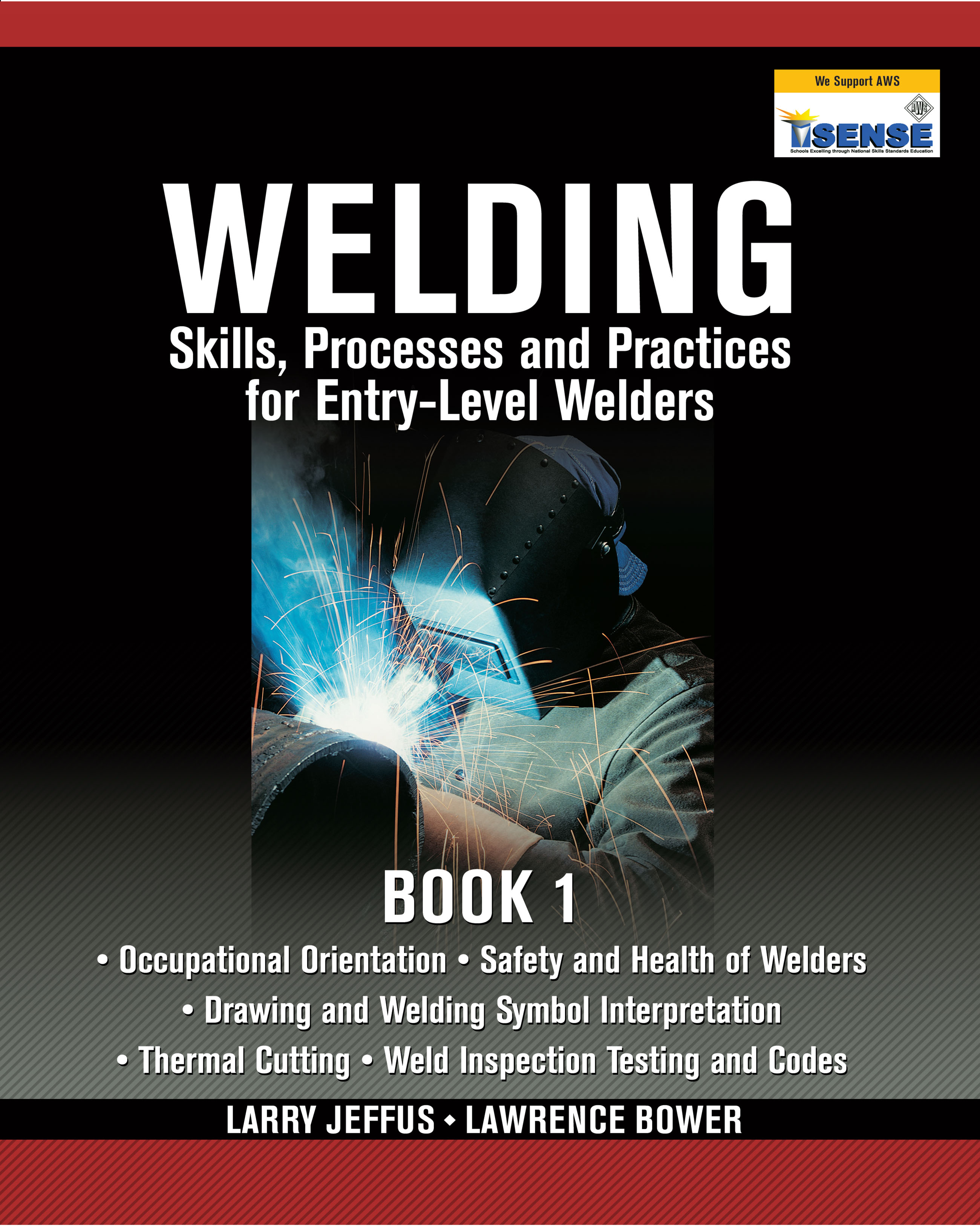 Welding Skills, Processes and Practices for Entry-Level Welders: Book 1