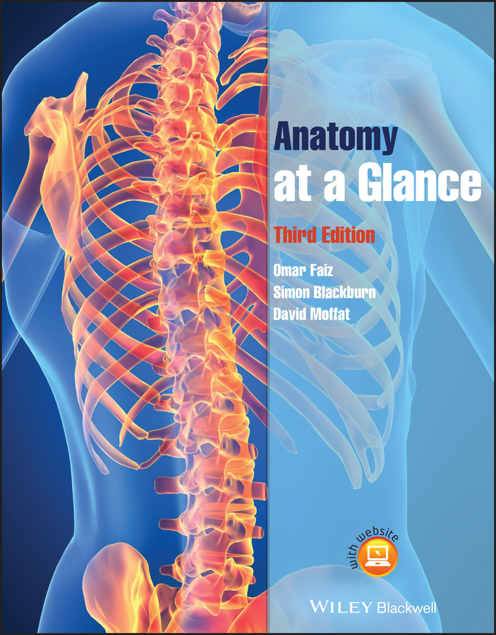 Cover image for Anatomy at a Glance