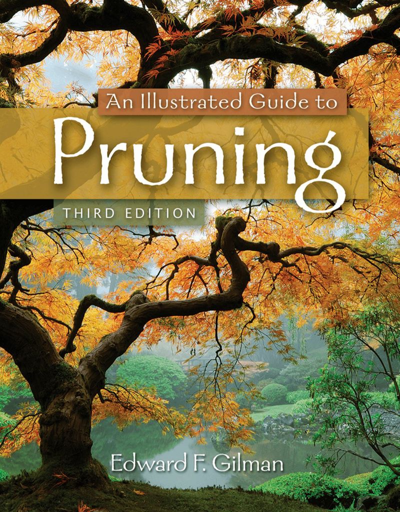 An Illustrated Guide to Pruning