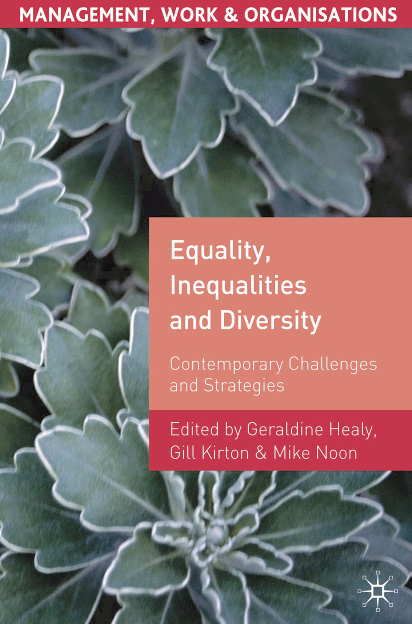 Cover image for Equality, Inequalities and Diversity