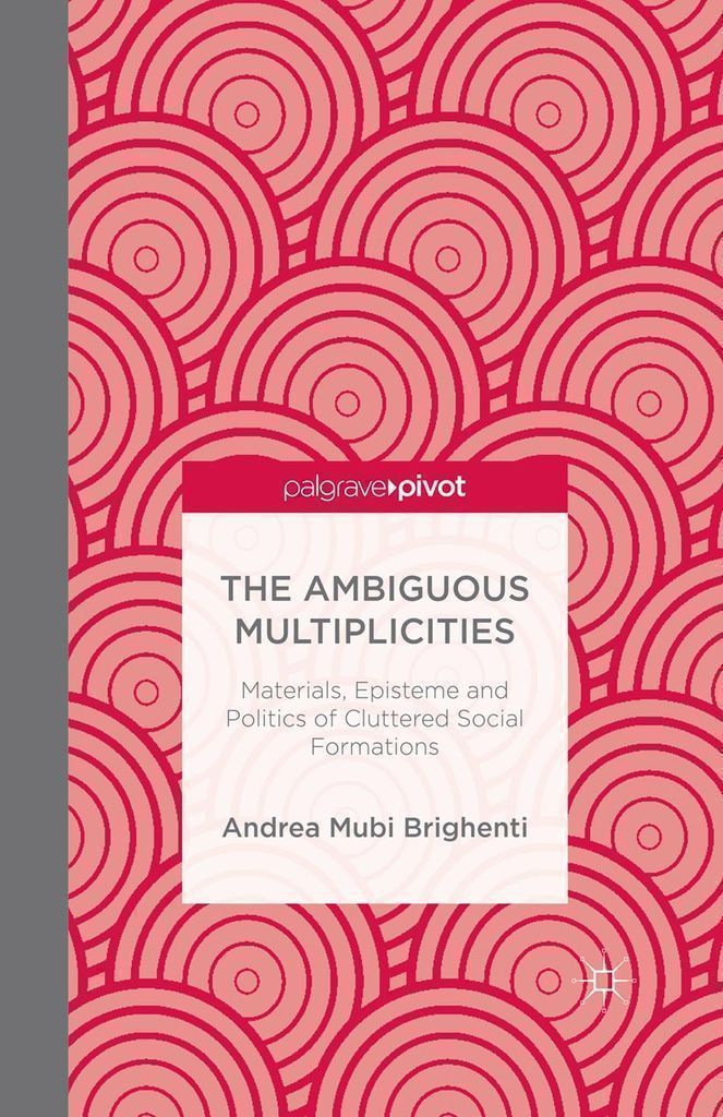 Cover image for The Ambiguous Multiplicities