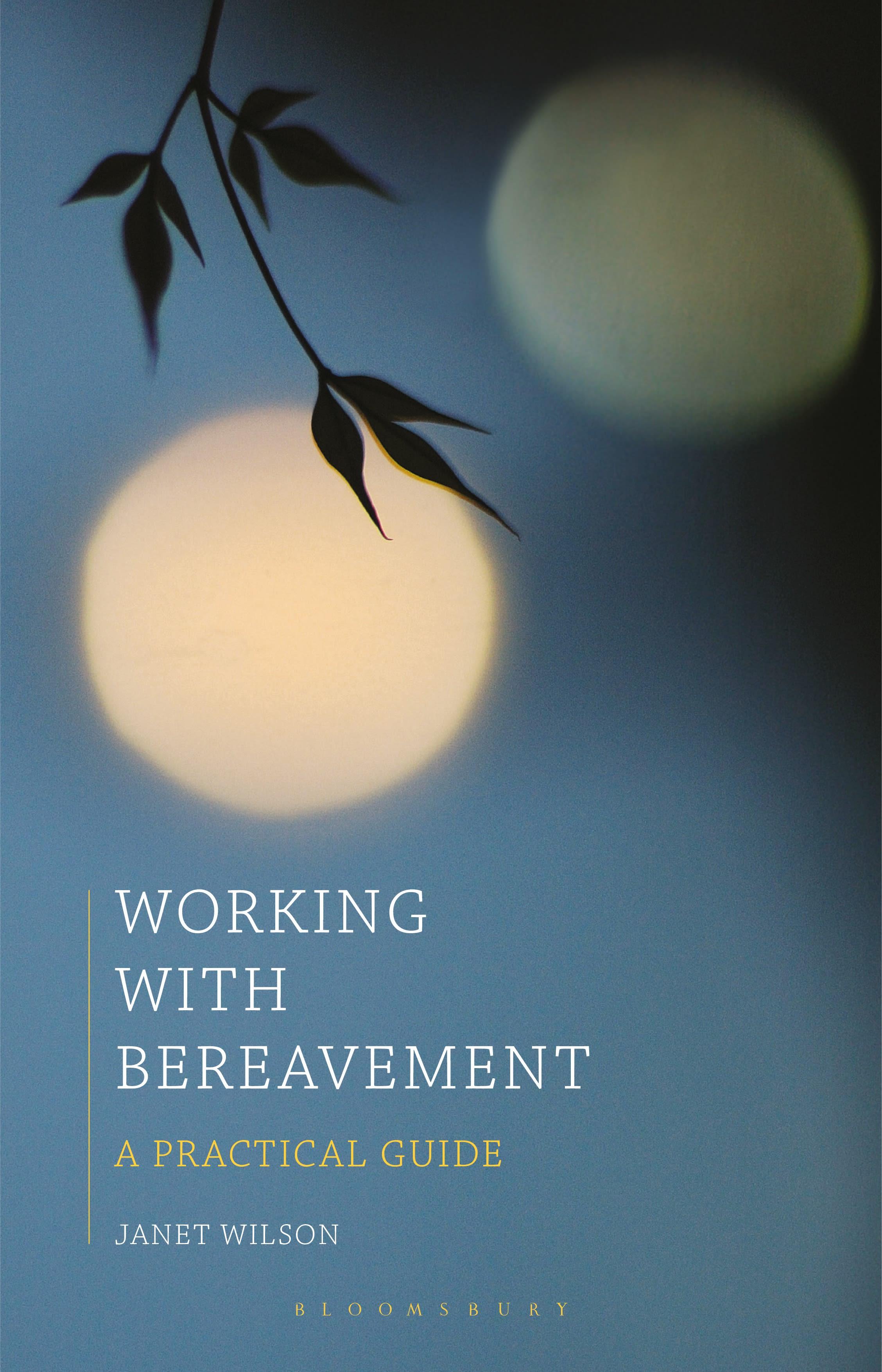 Cover image for Working with Bereavement