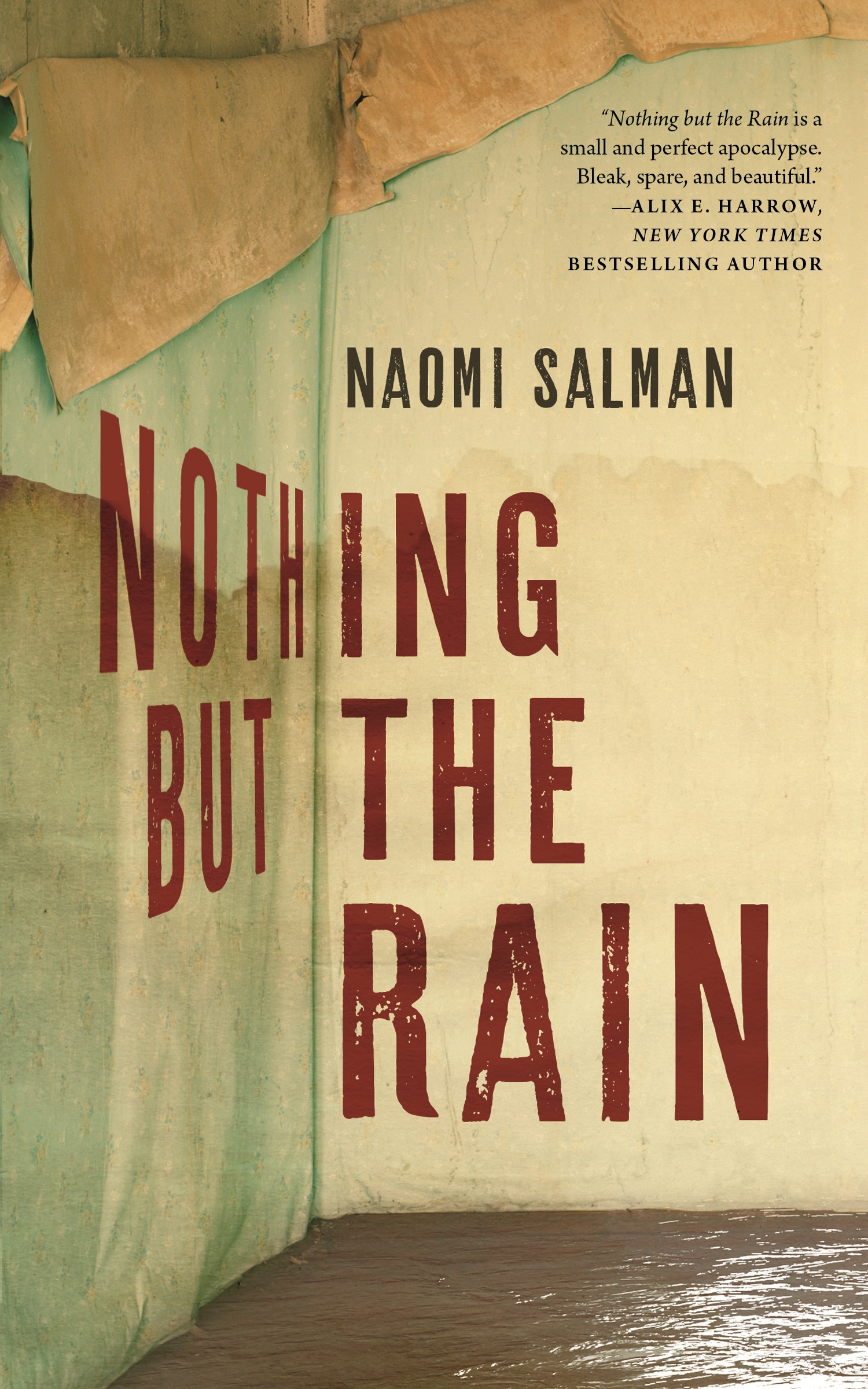 Cover image for Nothing but the Rain