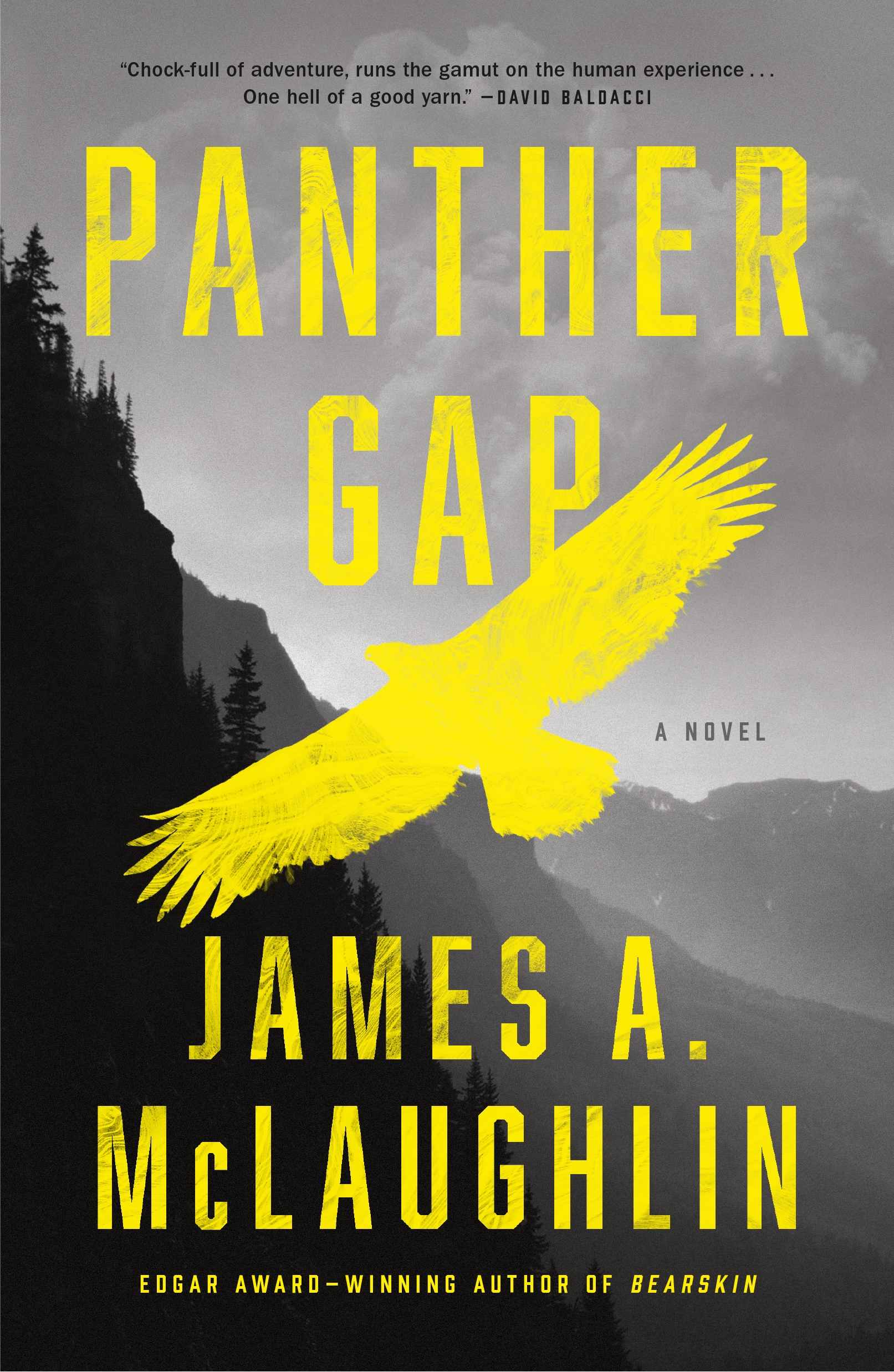 Cover image for Panther Gap