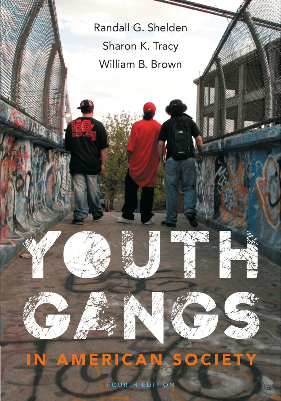 Youth Gangs in American Society