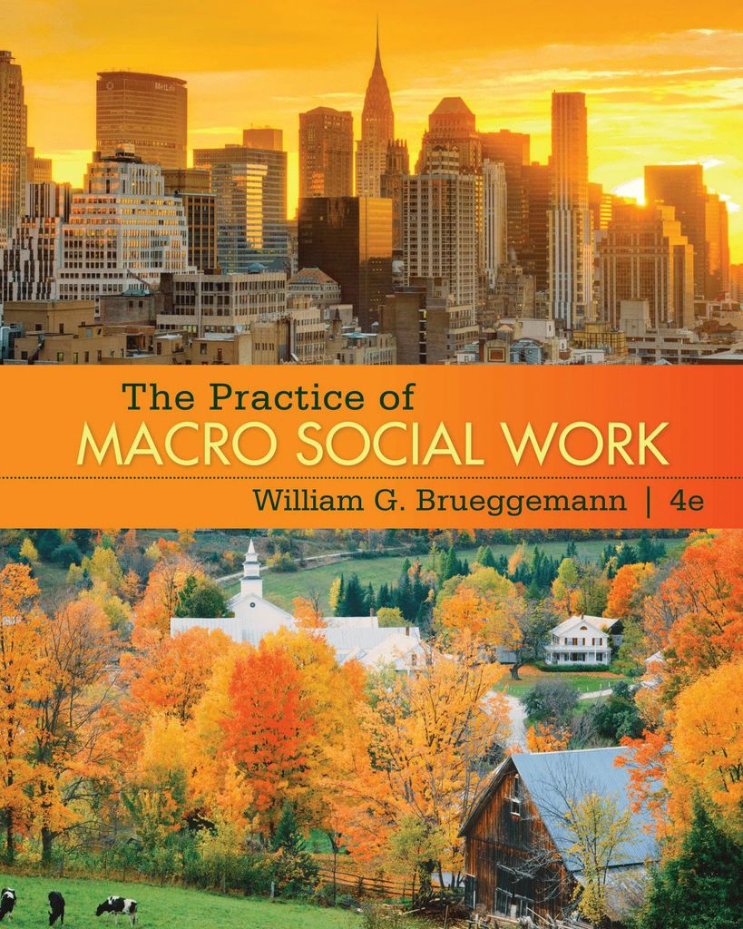 The Practice of Macro Social Work