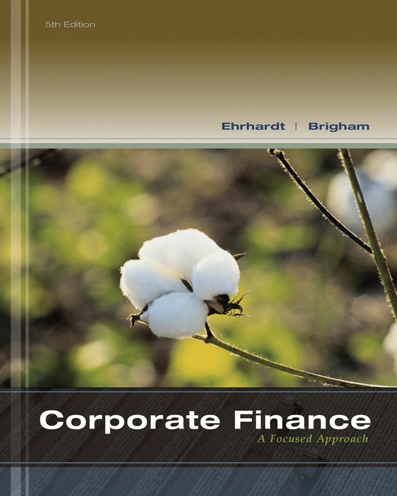 Corporate Finance: A Focused Approach (Book Only)