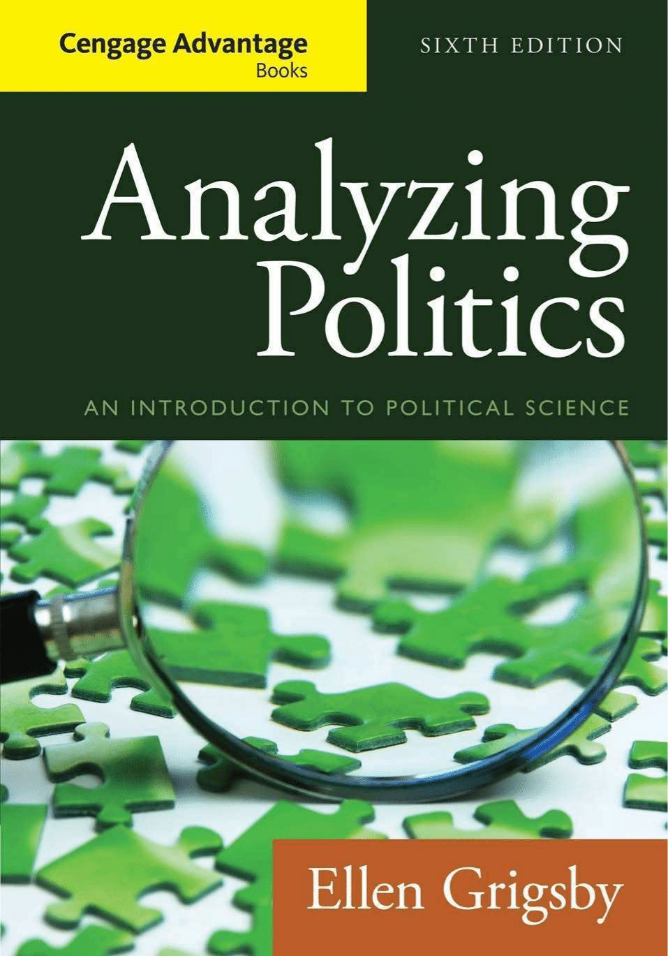 Politics analysis. Introduction to Politics. Analyst Politics. Book Analysis. Introduction to Politics student book.