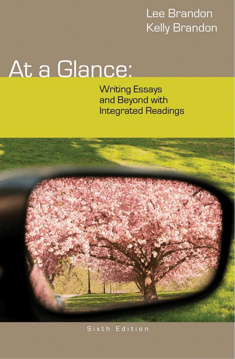 At a Glance: Writing Essays and Beyond
