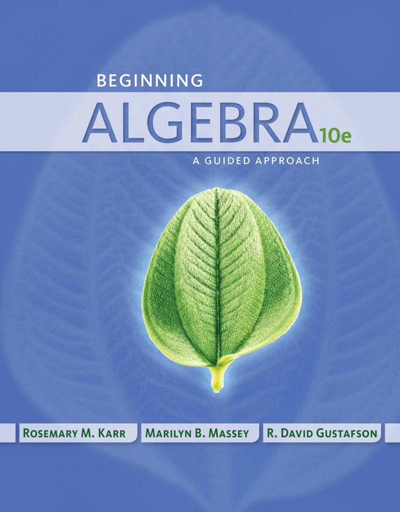 Beginning Algebra: A Guided Approach