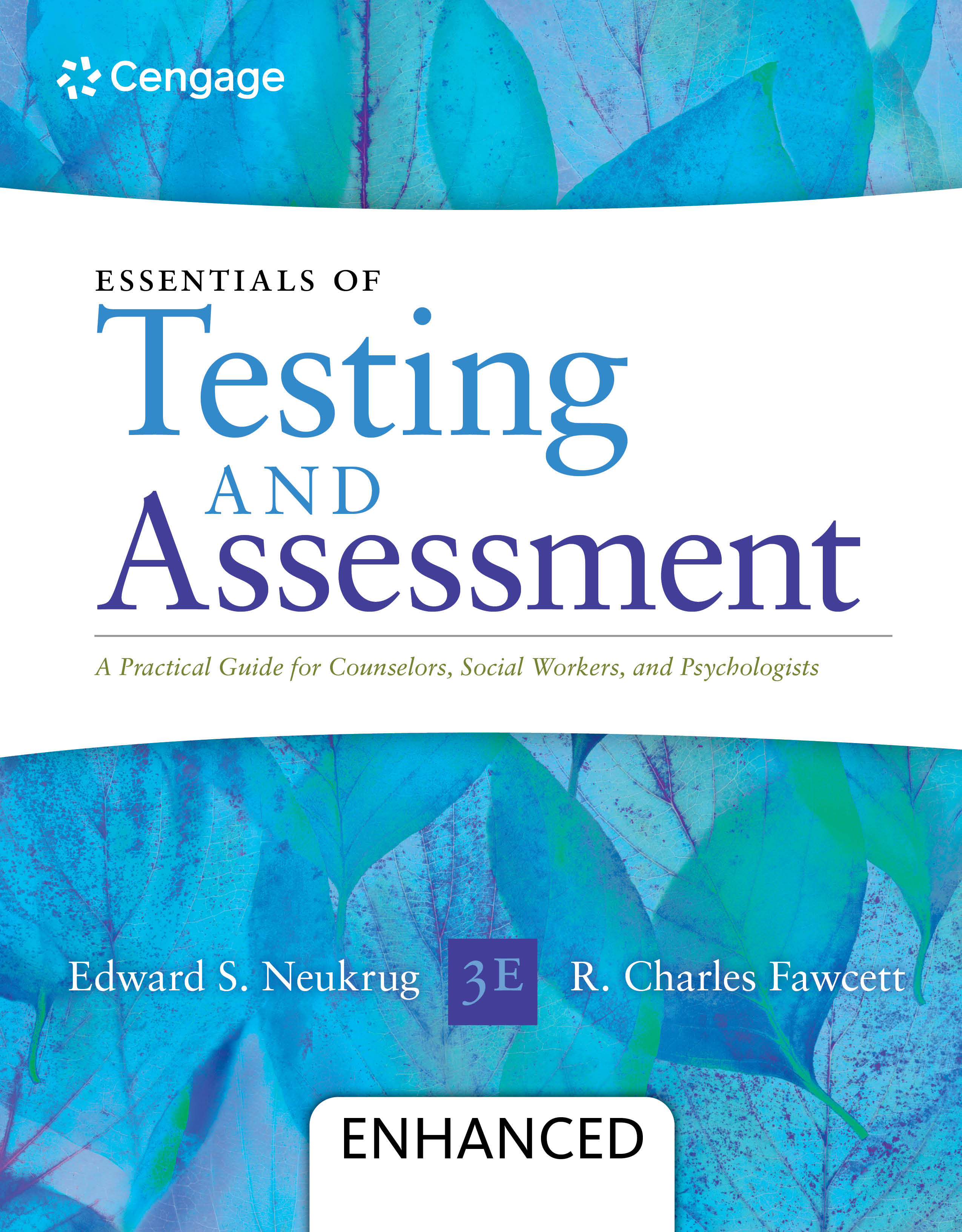 Essentials of Testing and Assessment: A Practical Guide for Counselors, Social Workers, and Psychologists, Enhanced