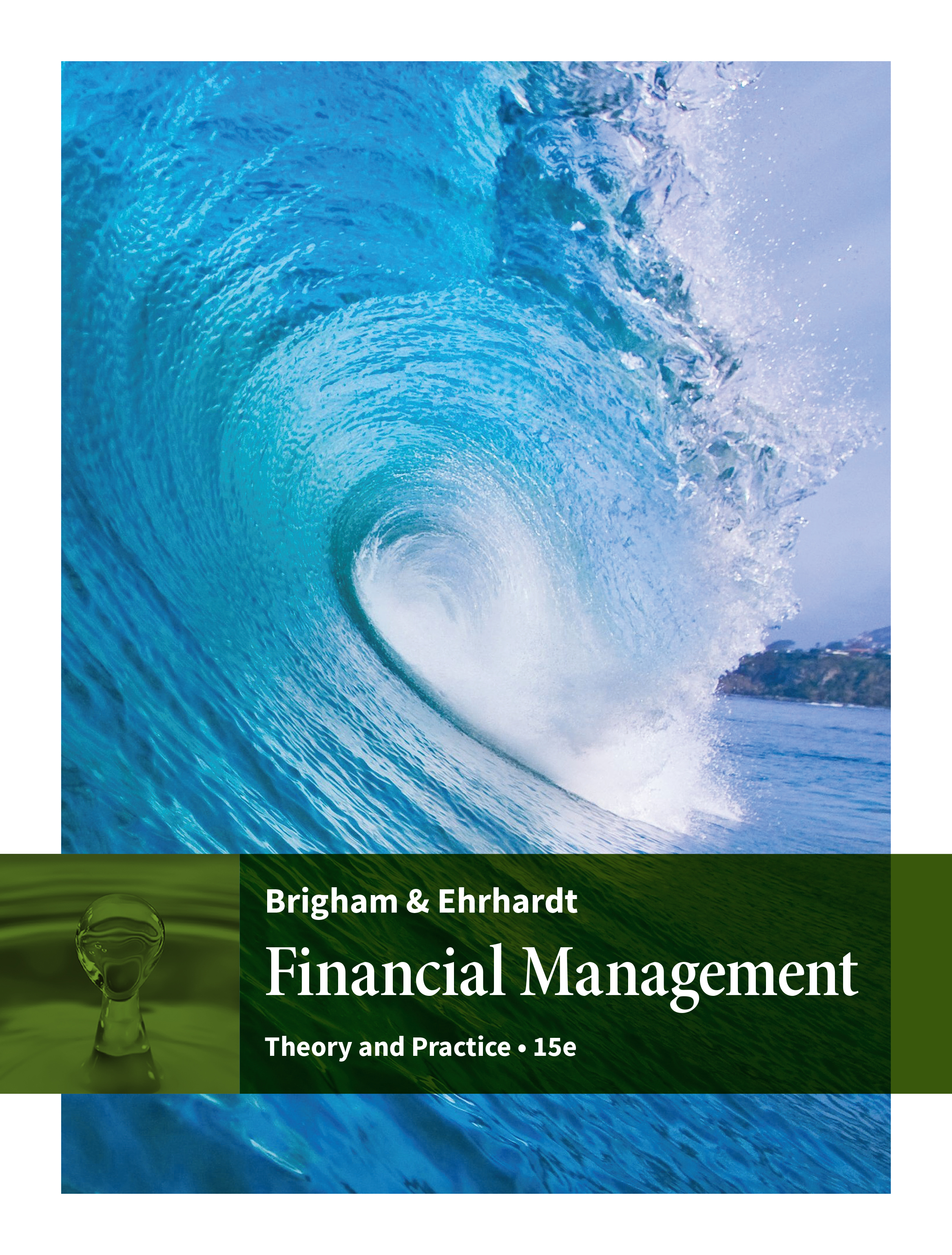 ビジネス・経済 Fundamentals of Financial Managing 4th 81nTxv-W-zL