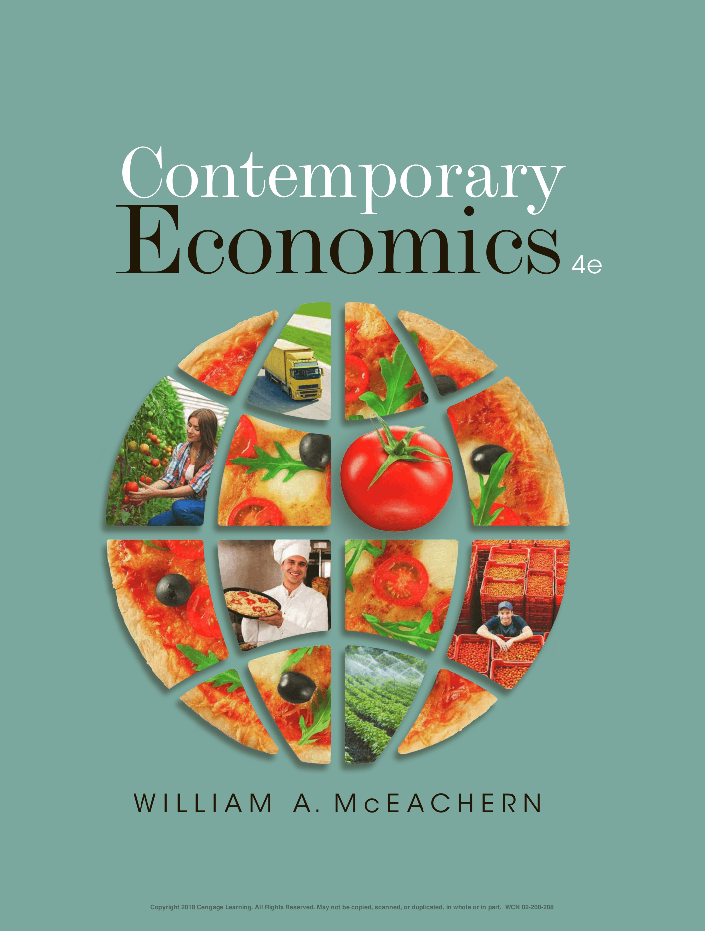 洋書 Issues in Contemporary Economics 978-1-349-11573-0