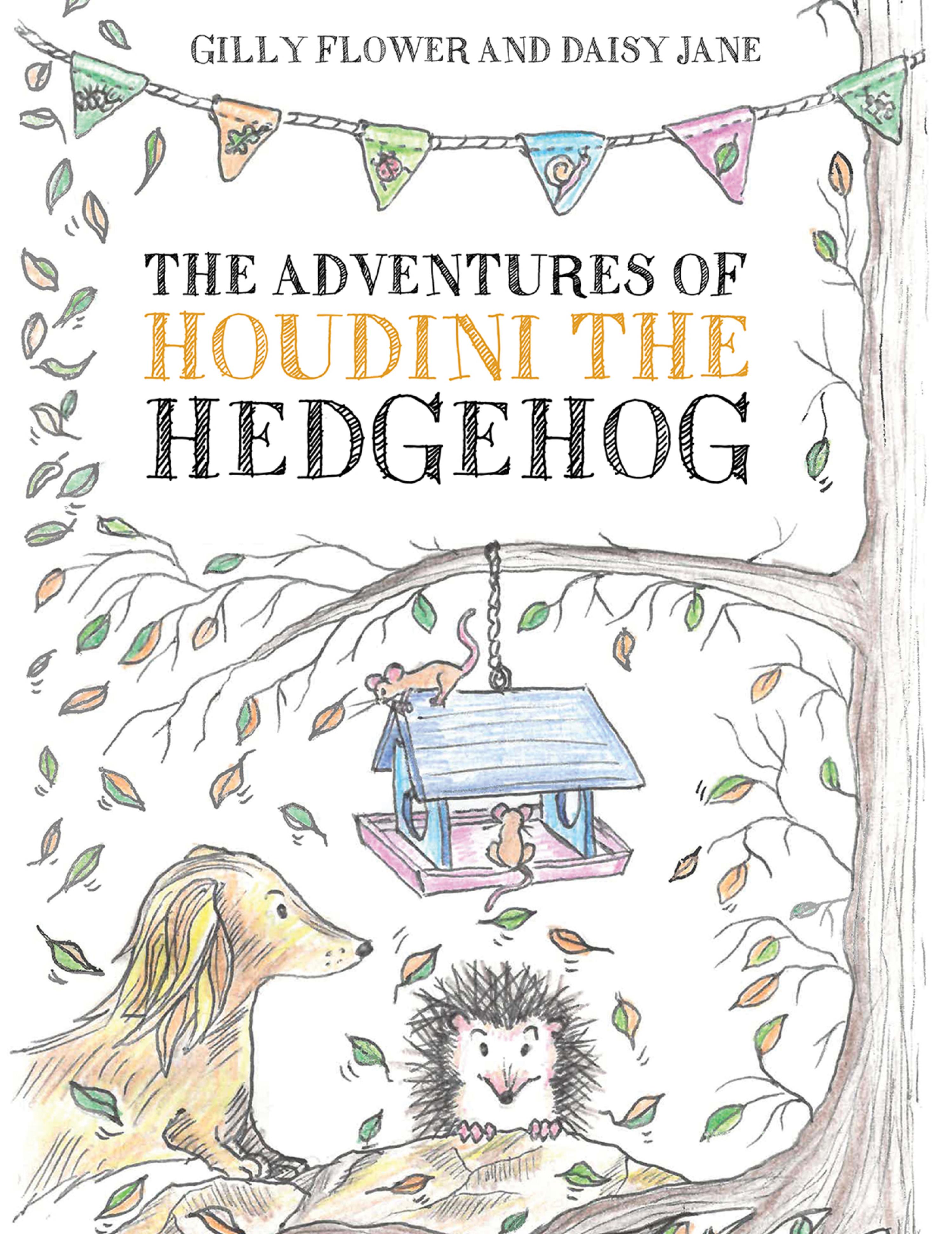 Cover image for The Adventures of Houdini the Hedgehog