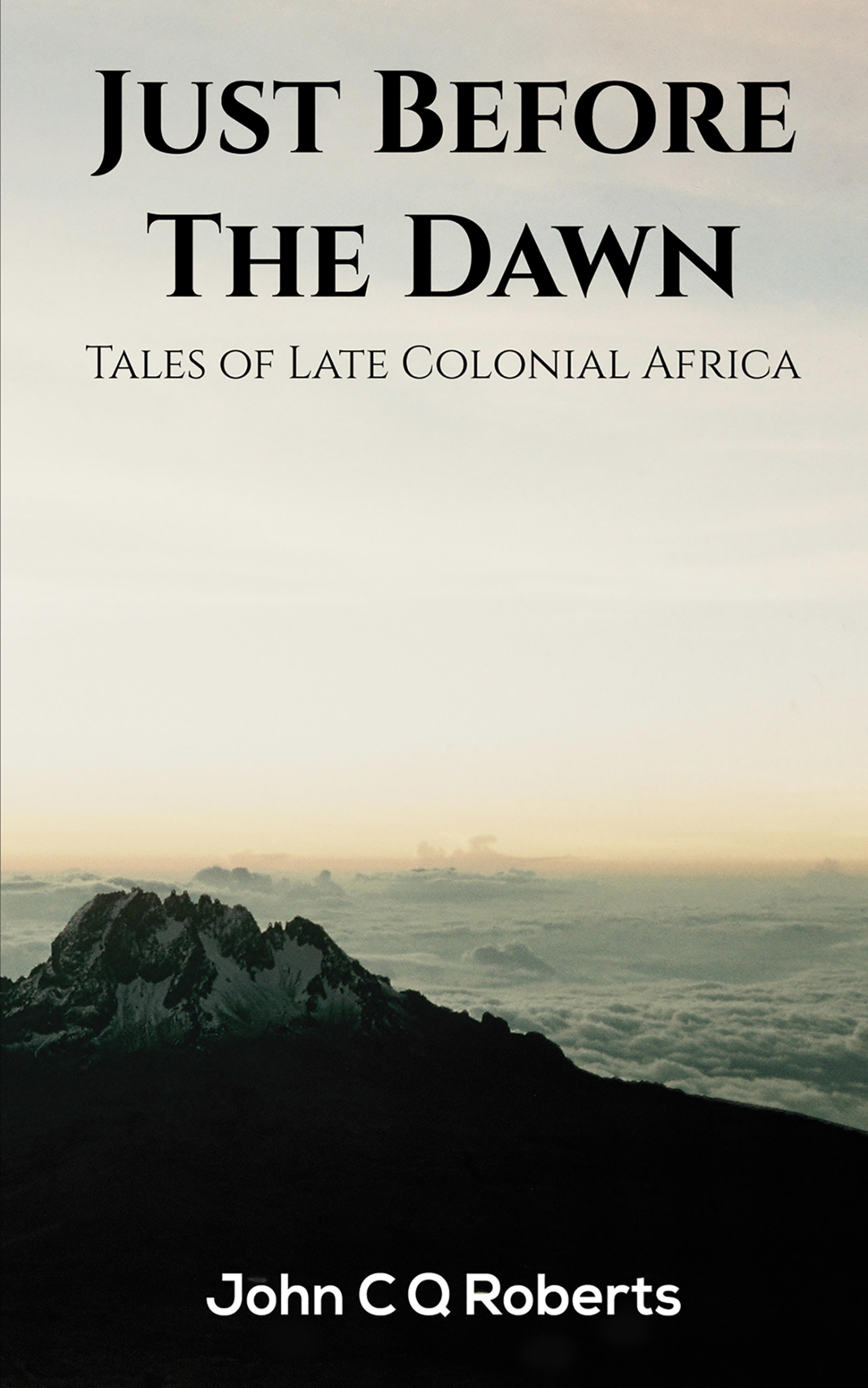 Cover image for Just Before the Dawn
