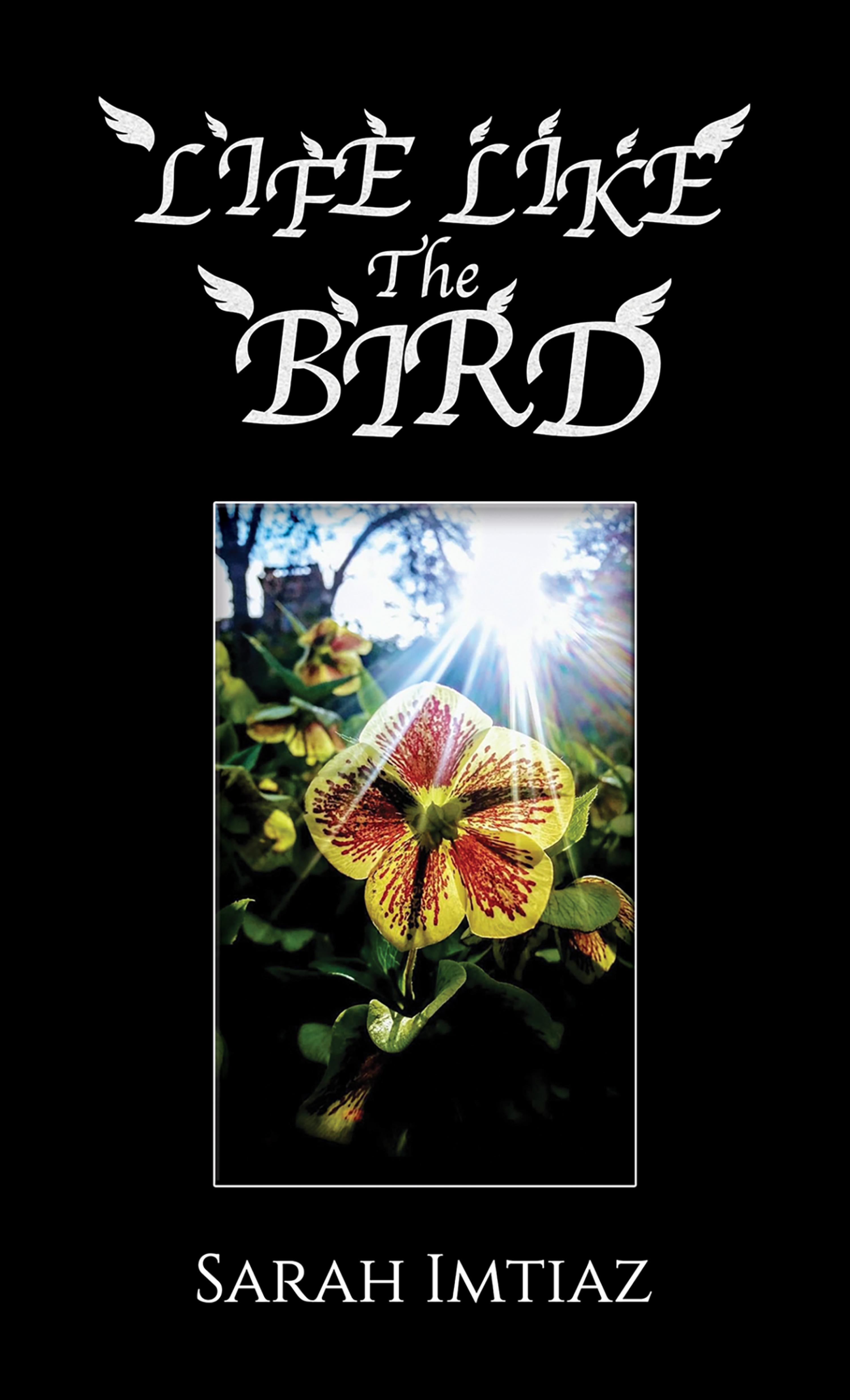 Cover image for Life Like the Bird
