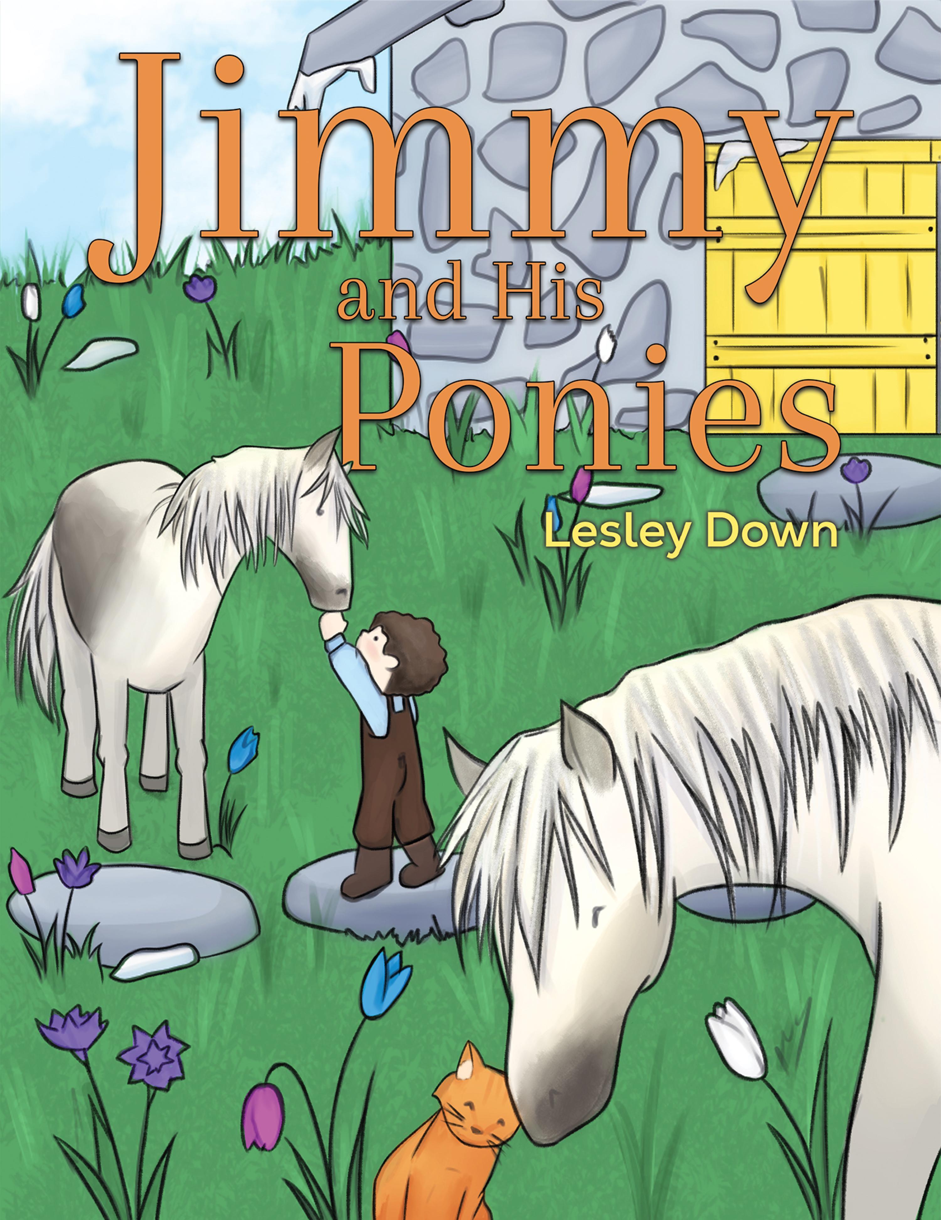 Cover image for Jimmy and His Ponies