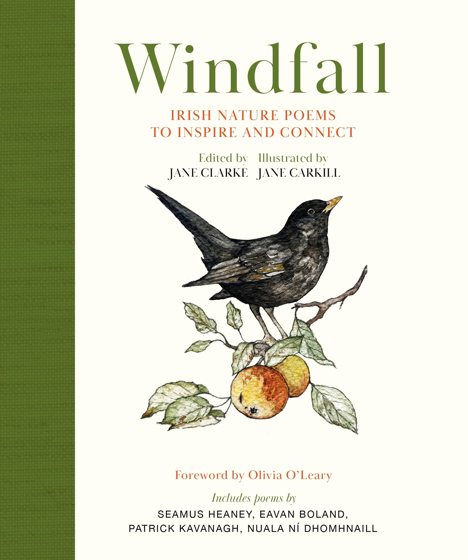 Cover image for Windfall