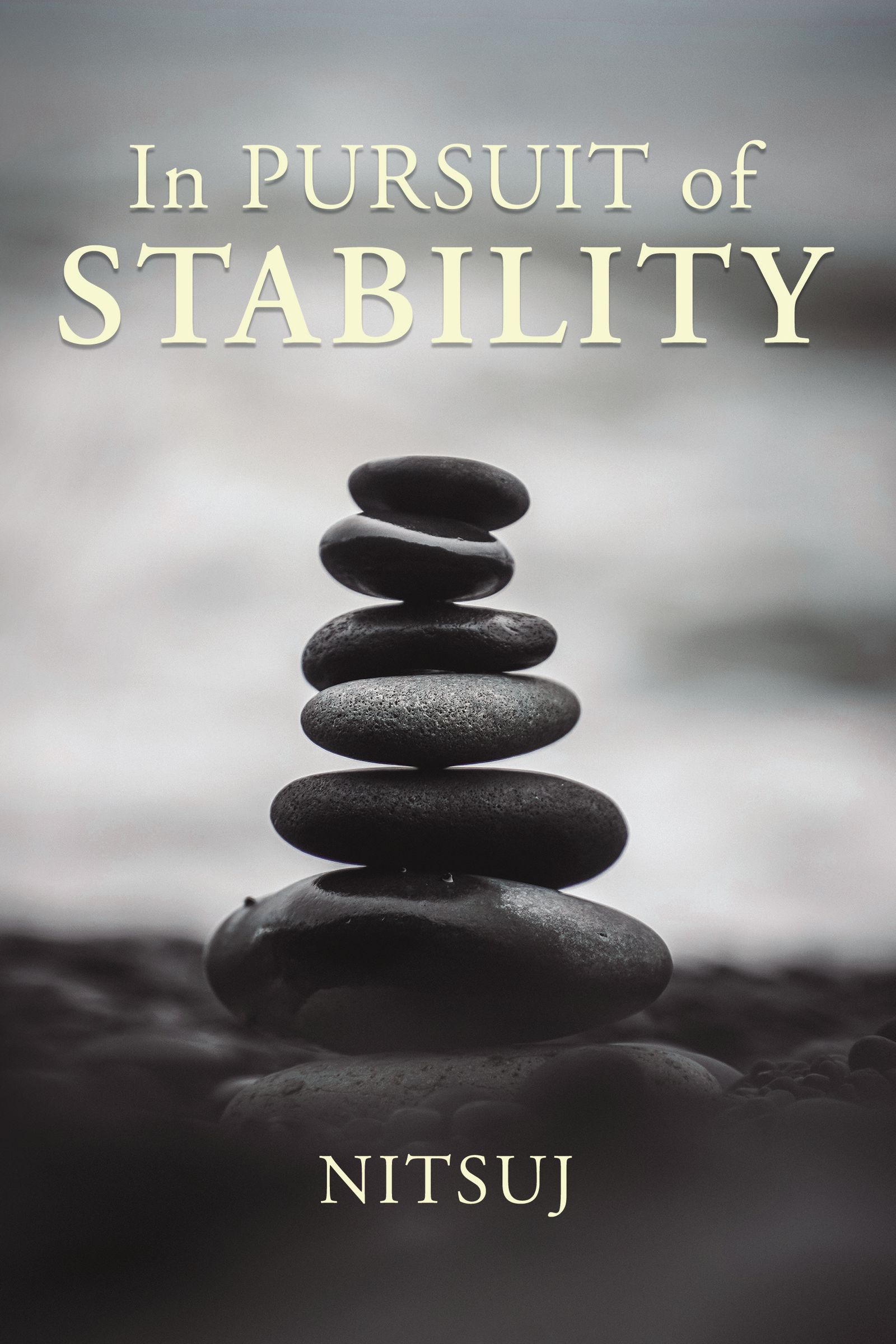 Cover image for In Pursuit of Stability